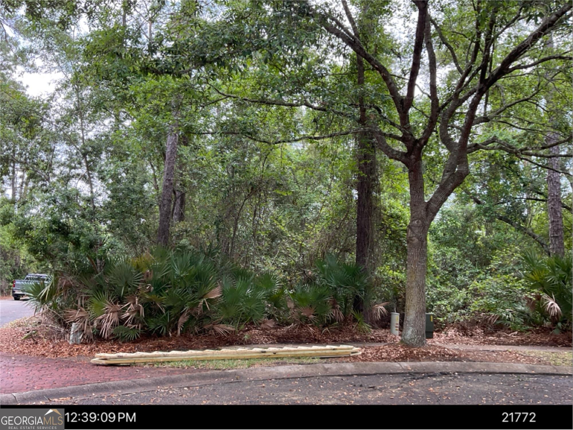 703 Wahoo Court Property Photo 4