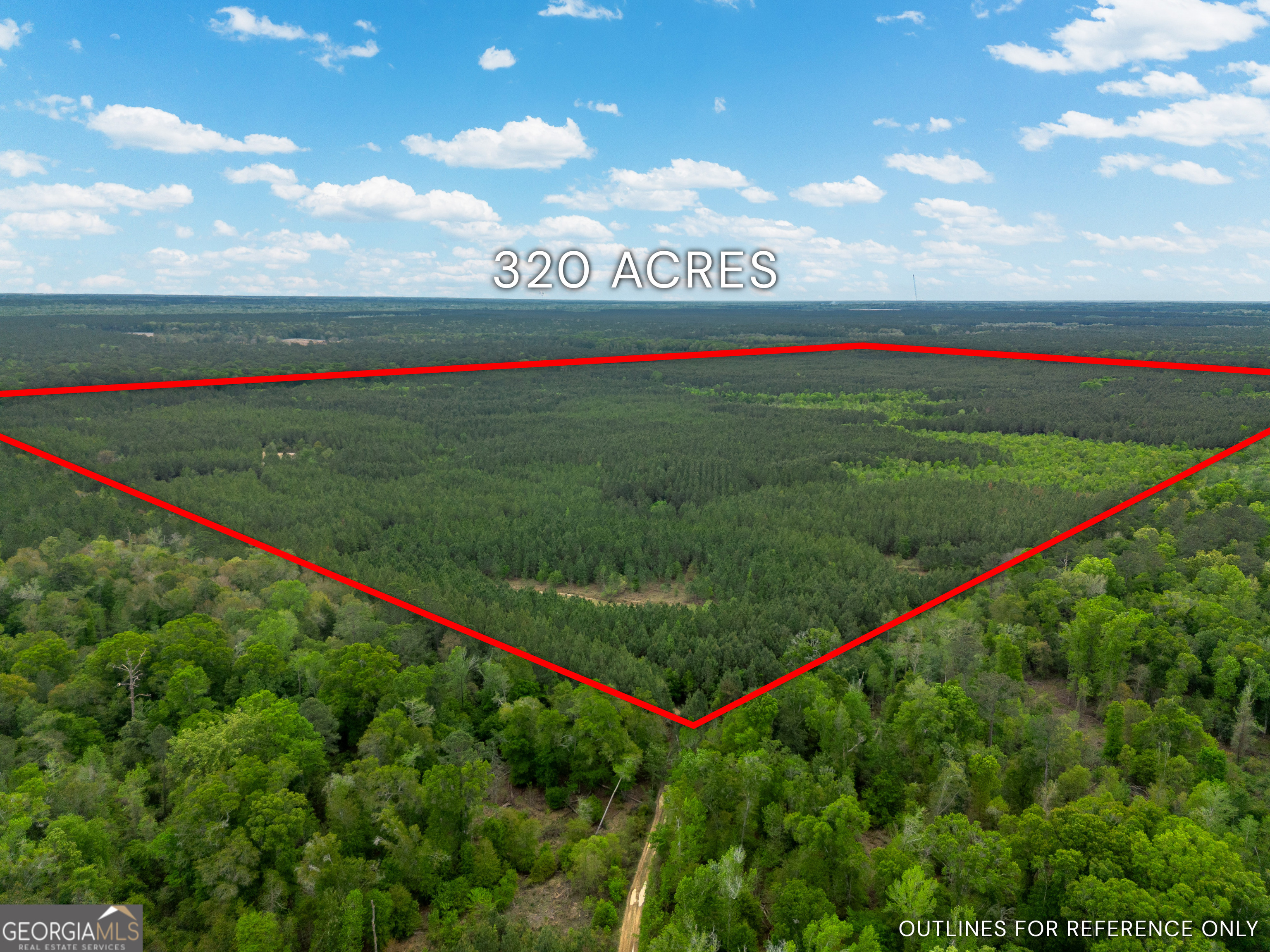 0 Highway 129 Property Photo 1