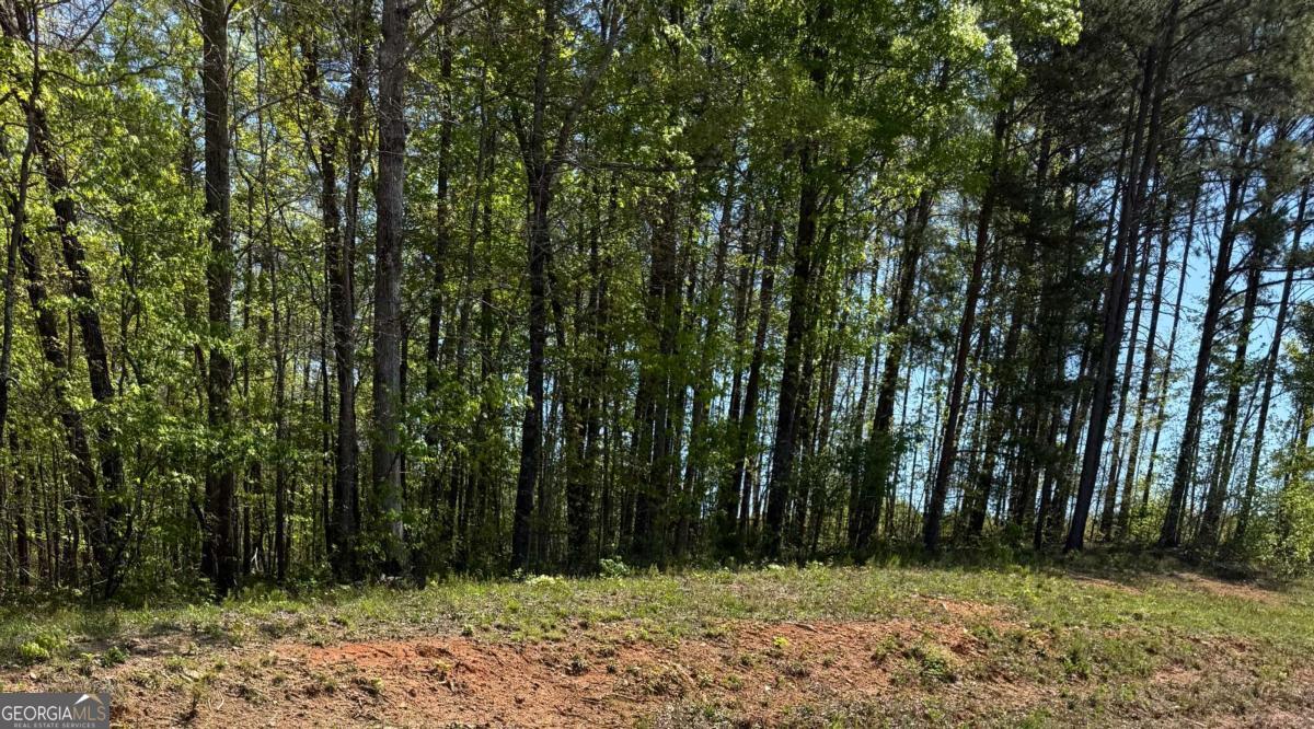 0 Us Hwy 27 Property Photo 1