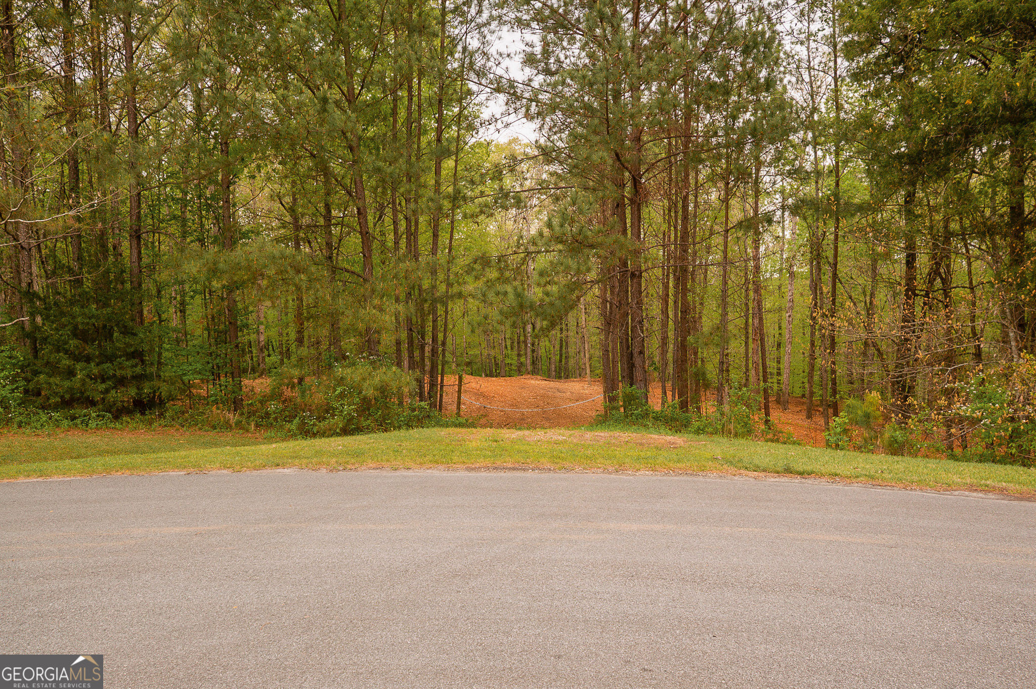 0 River Overlook Property Photo 1