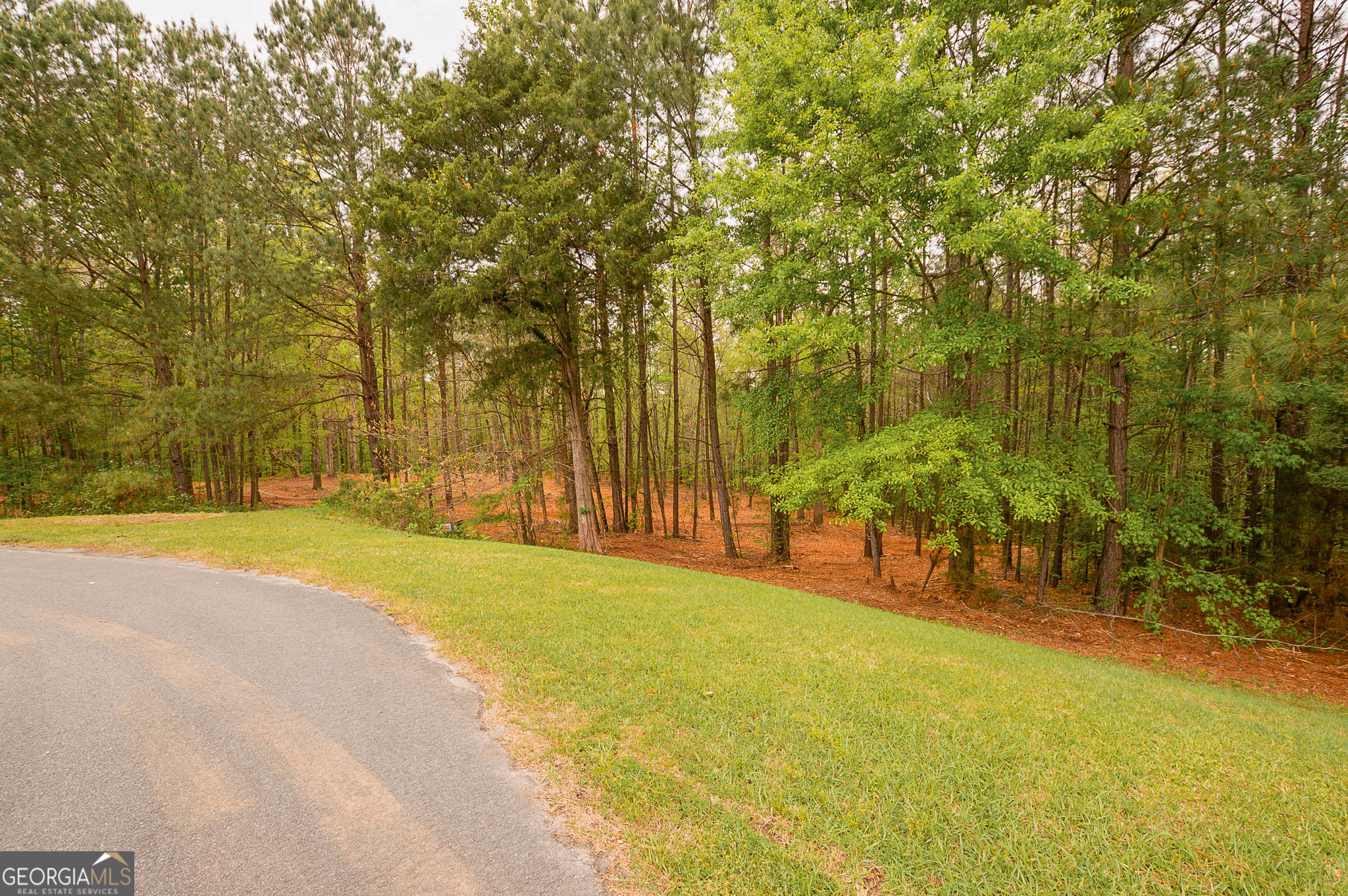 0 River Overlook Property Photo 3