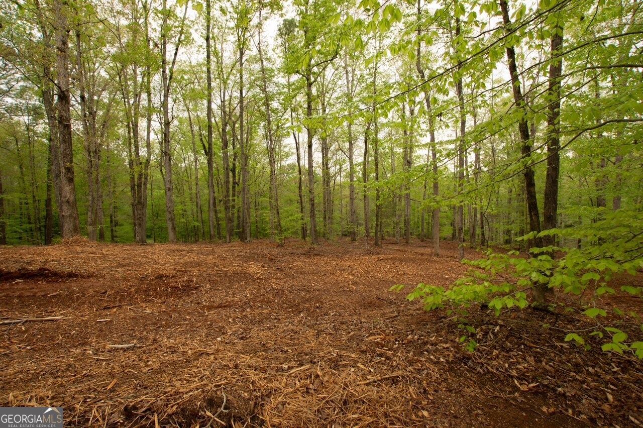 0 River Overlook Property Photo 5