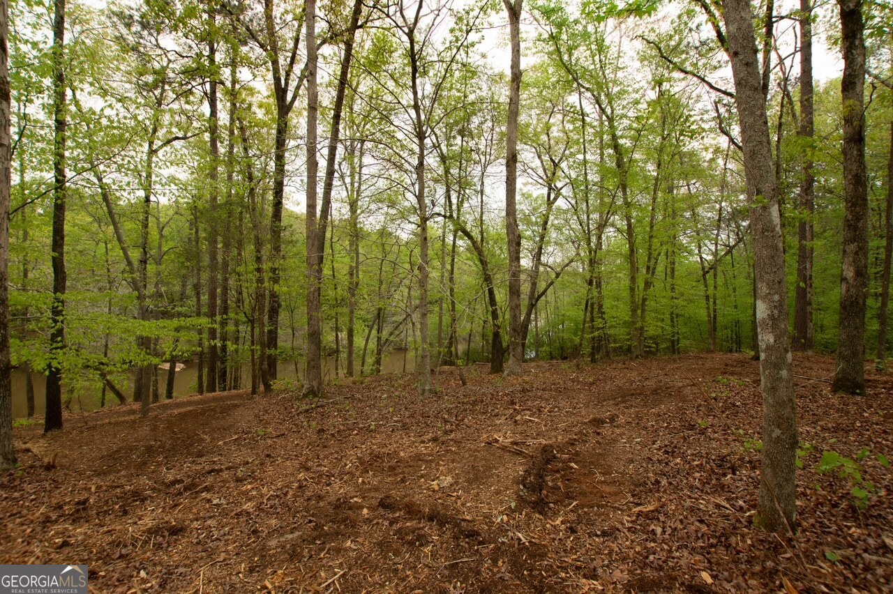 0 River Overlook Property Photo 6