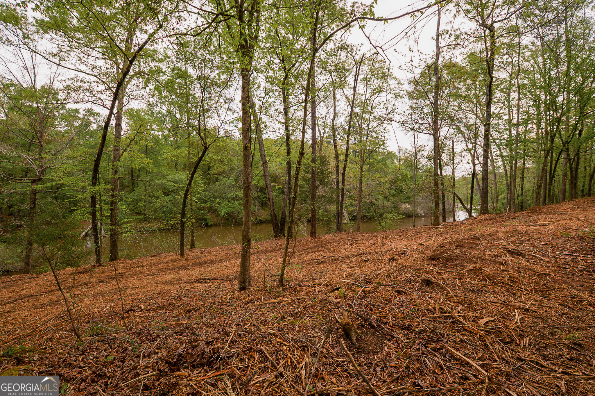 0 River Overlook Property Photo 9