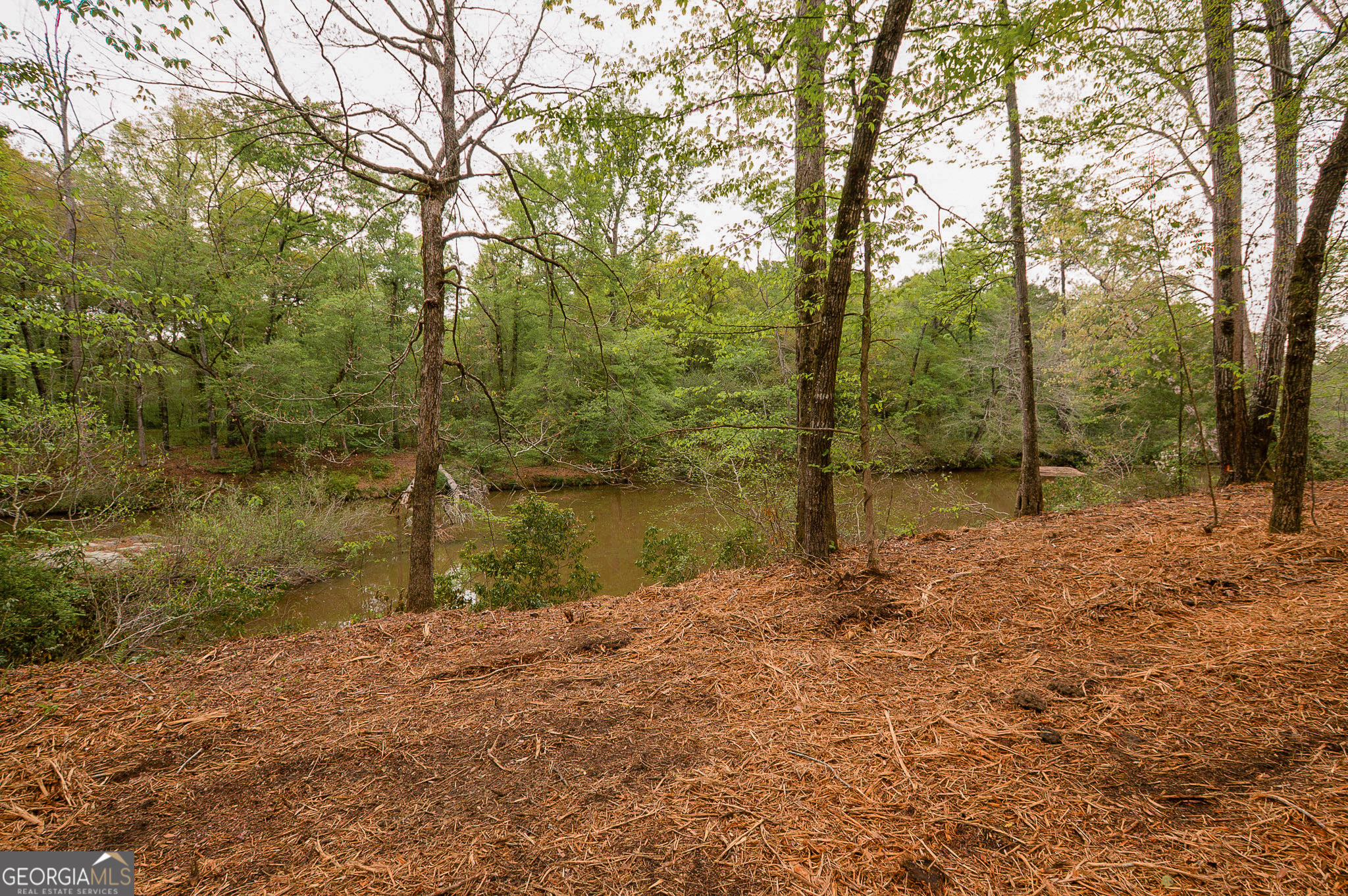 0 River Overlook Property Photo 10