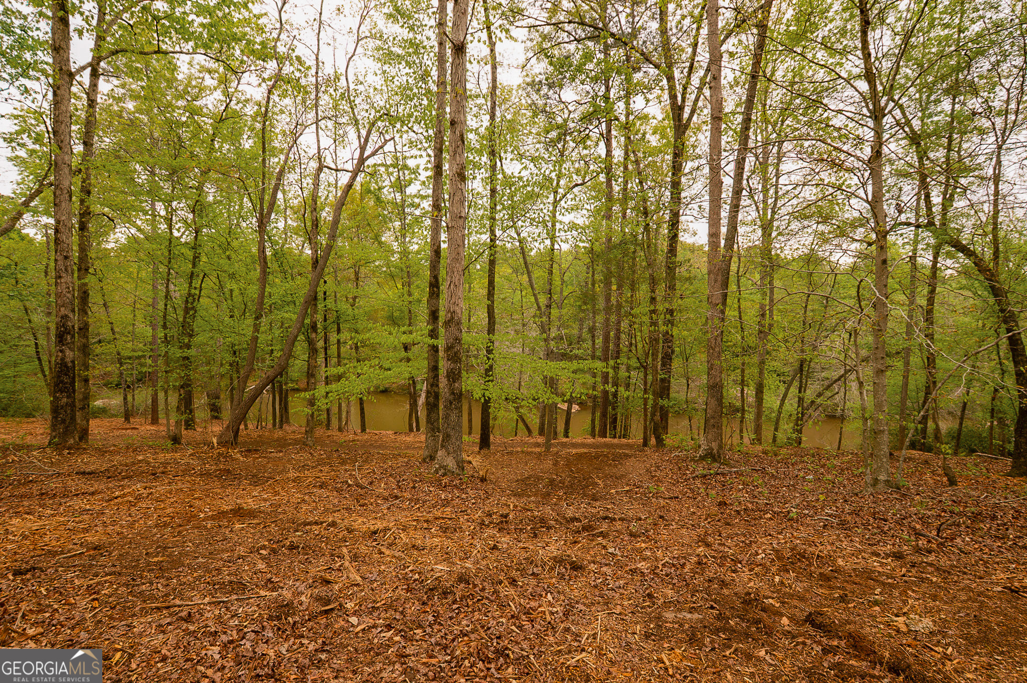 0 River Overlook Property Photo 12