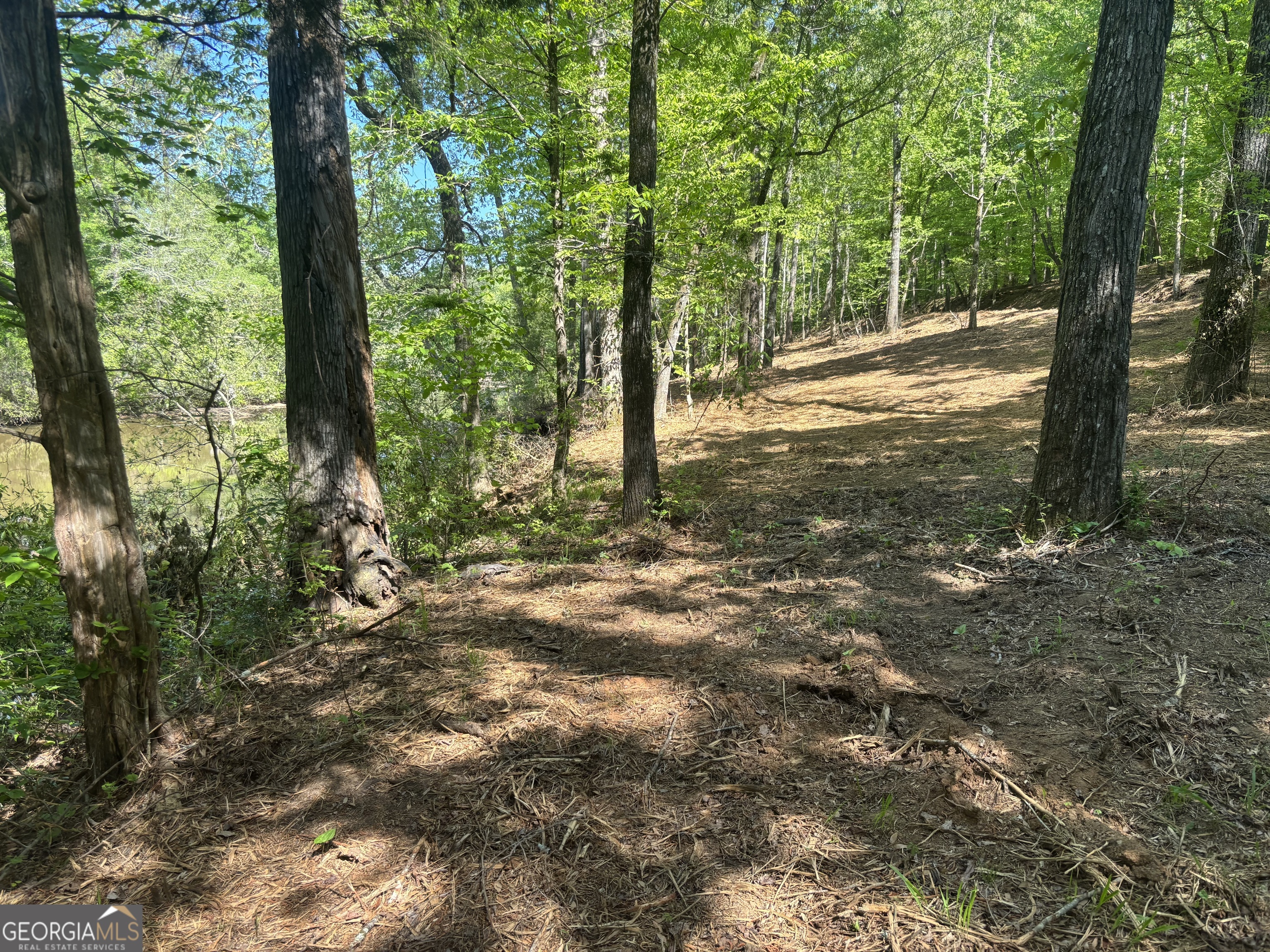 0 River Overlook Property Photo 18
