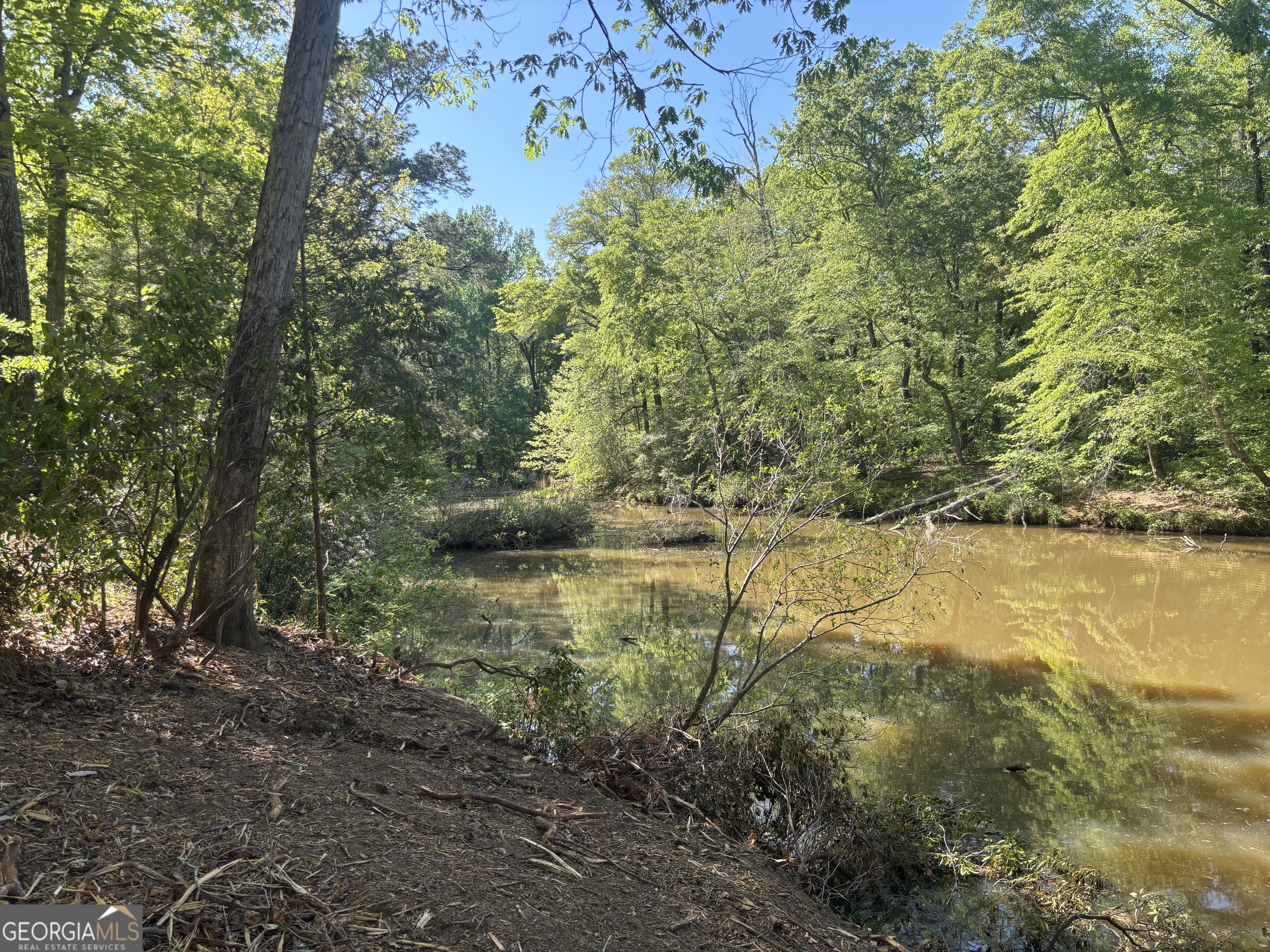 0 River Overlook Property Photo 19