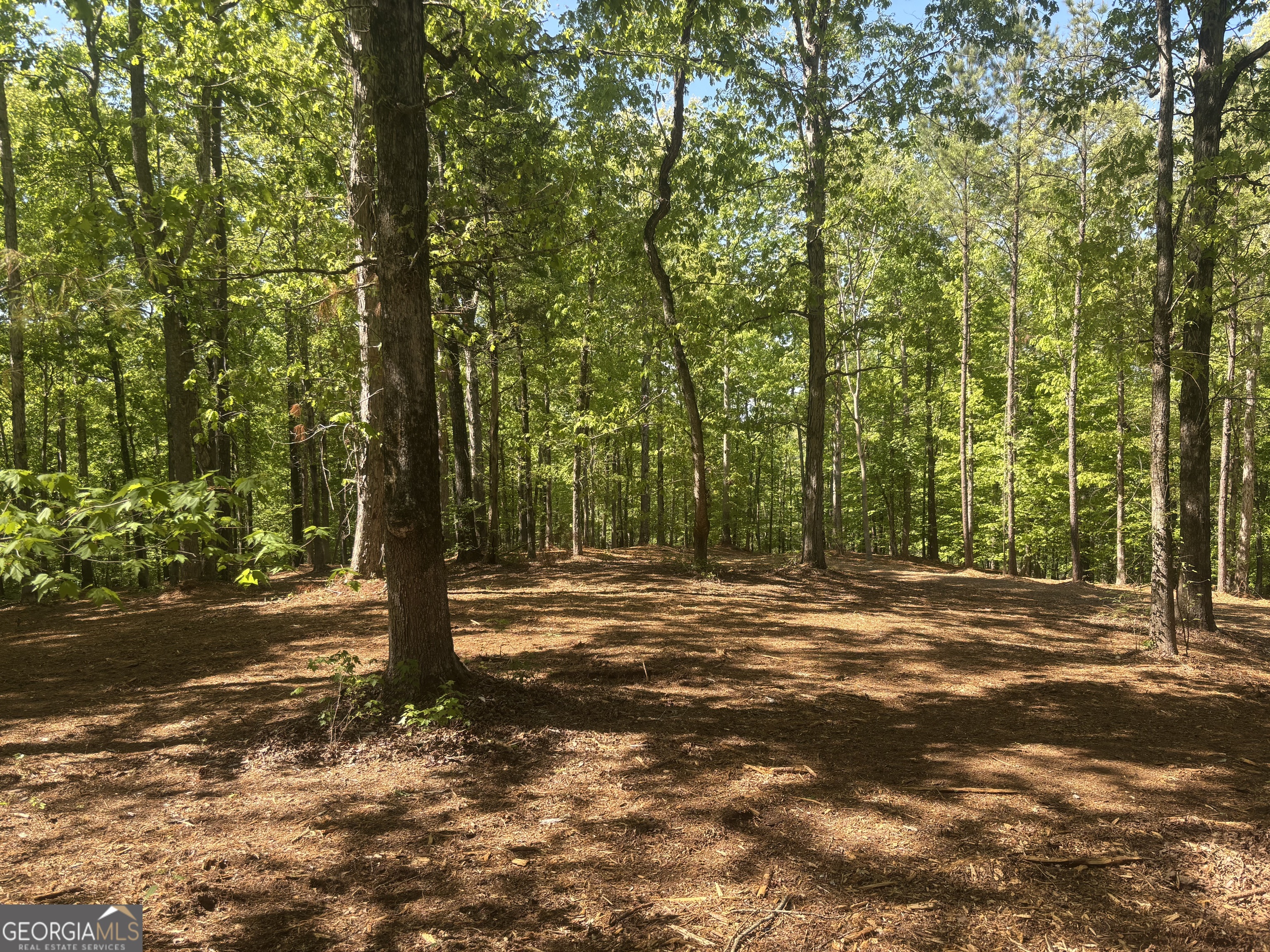 0 River Overlook Property Photo 21