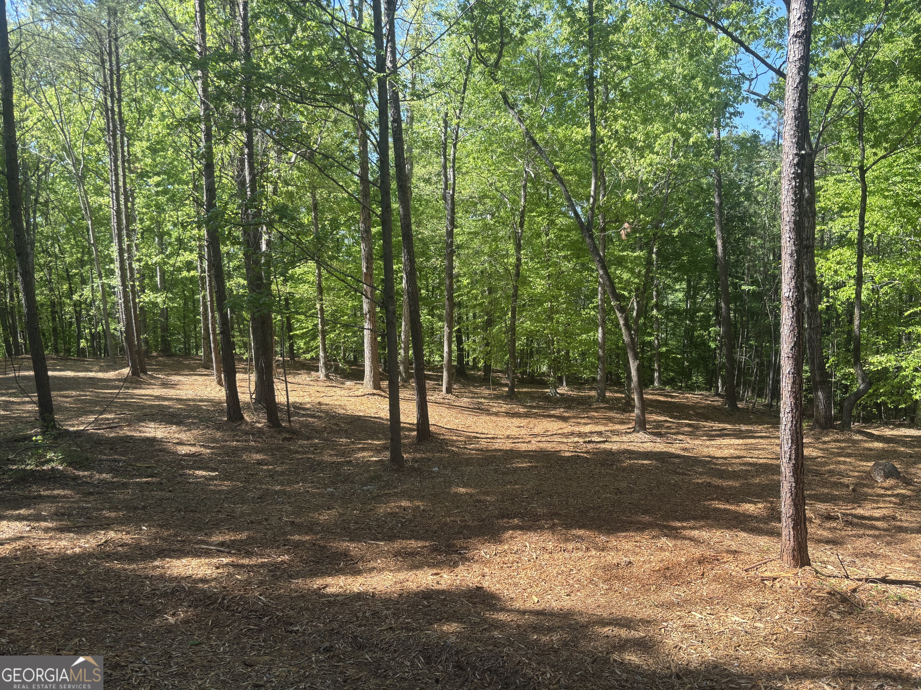 0 River Overlook Property Photo 22