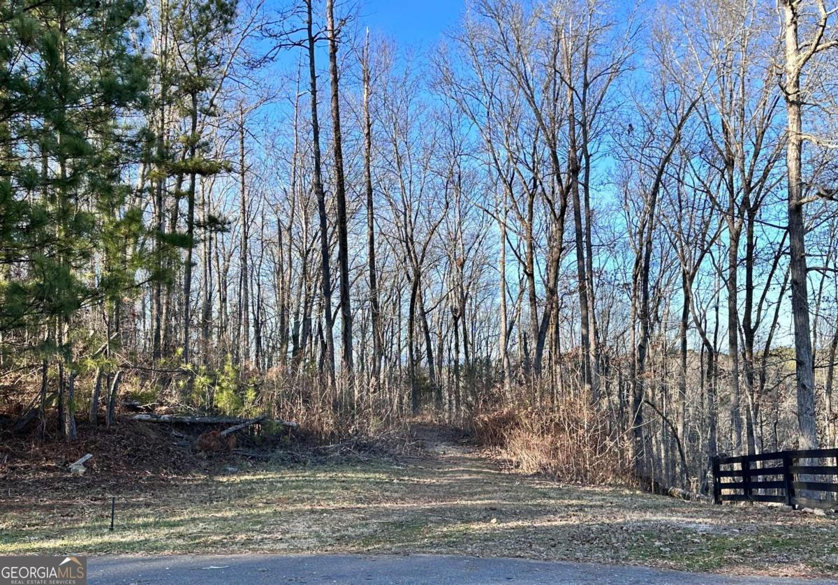 8555 Woodland Brooke Trail Property Photo 1