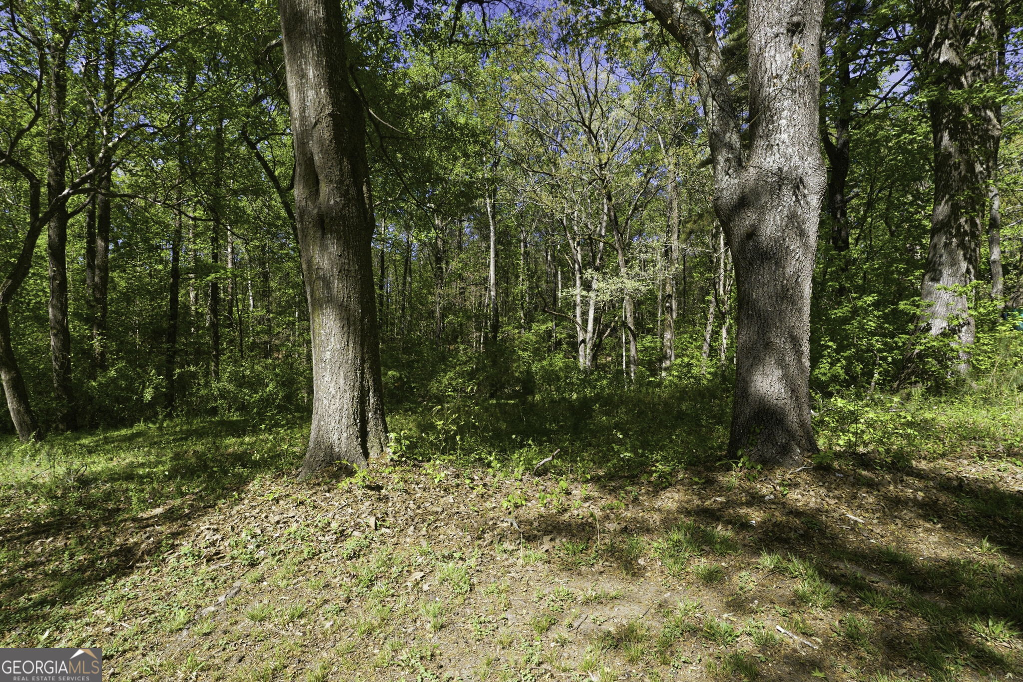 5575 Oglesby Road Property Photo 24