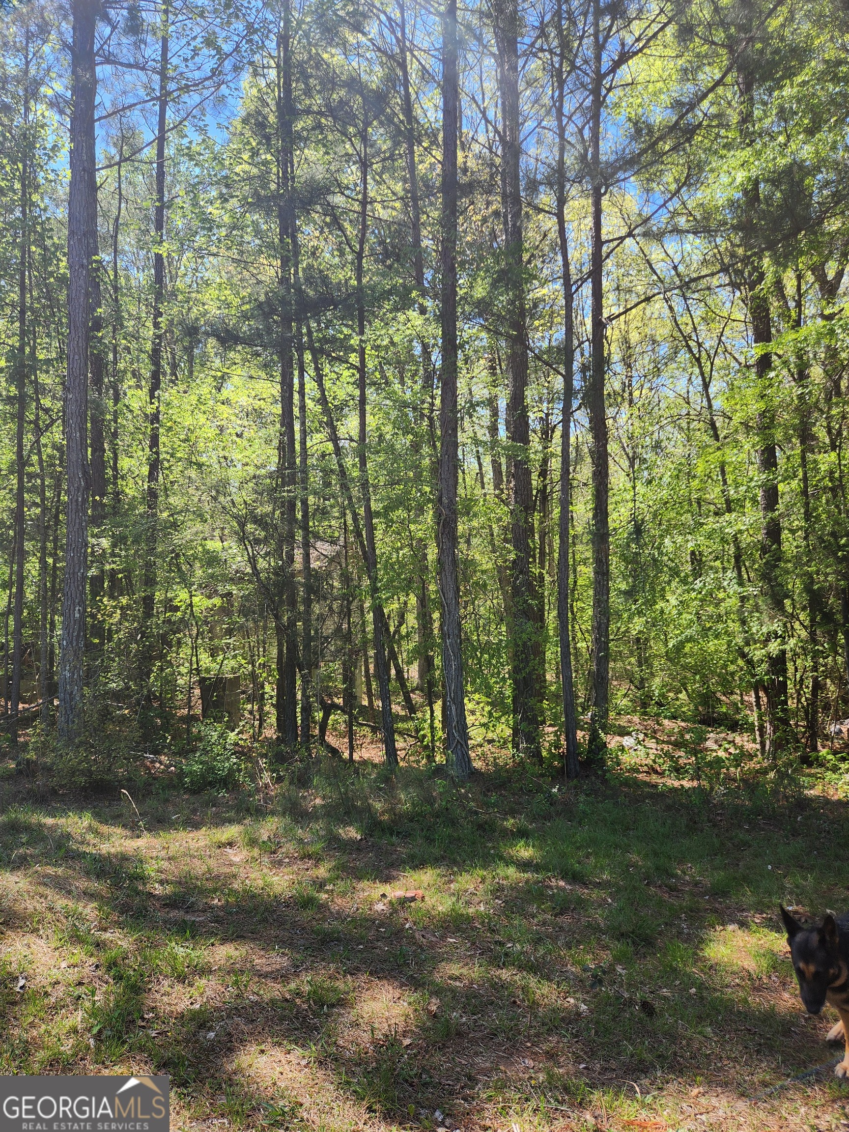674 Lower River Road Property Photo 4