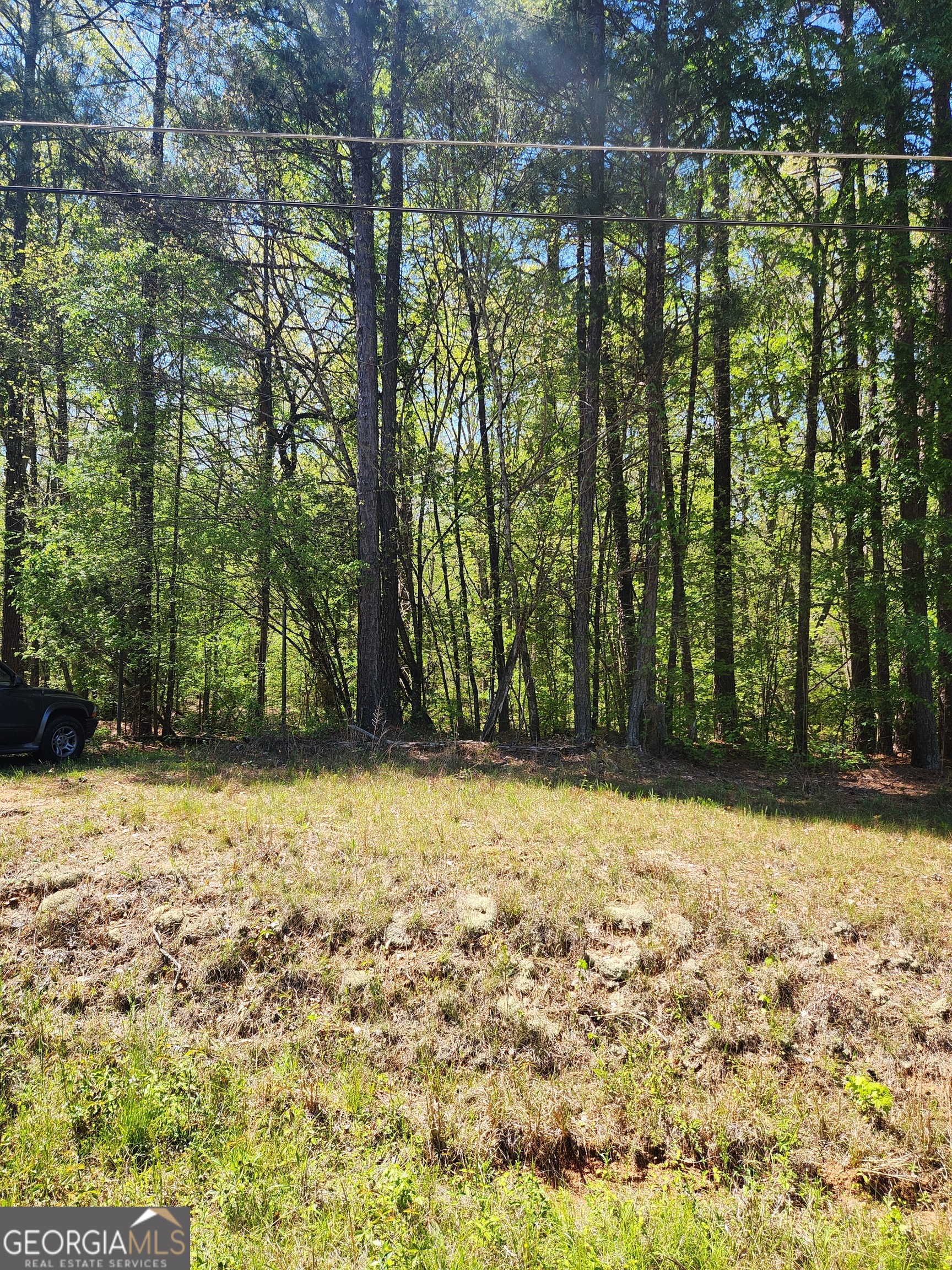 674 Lower River Road Property Photo 5