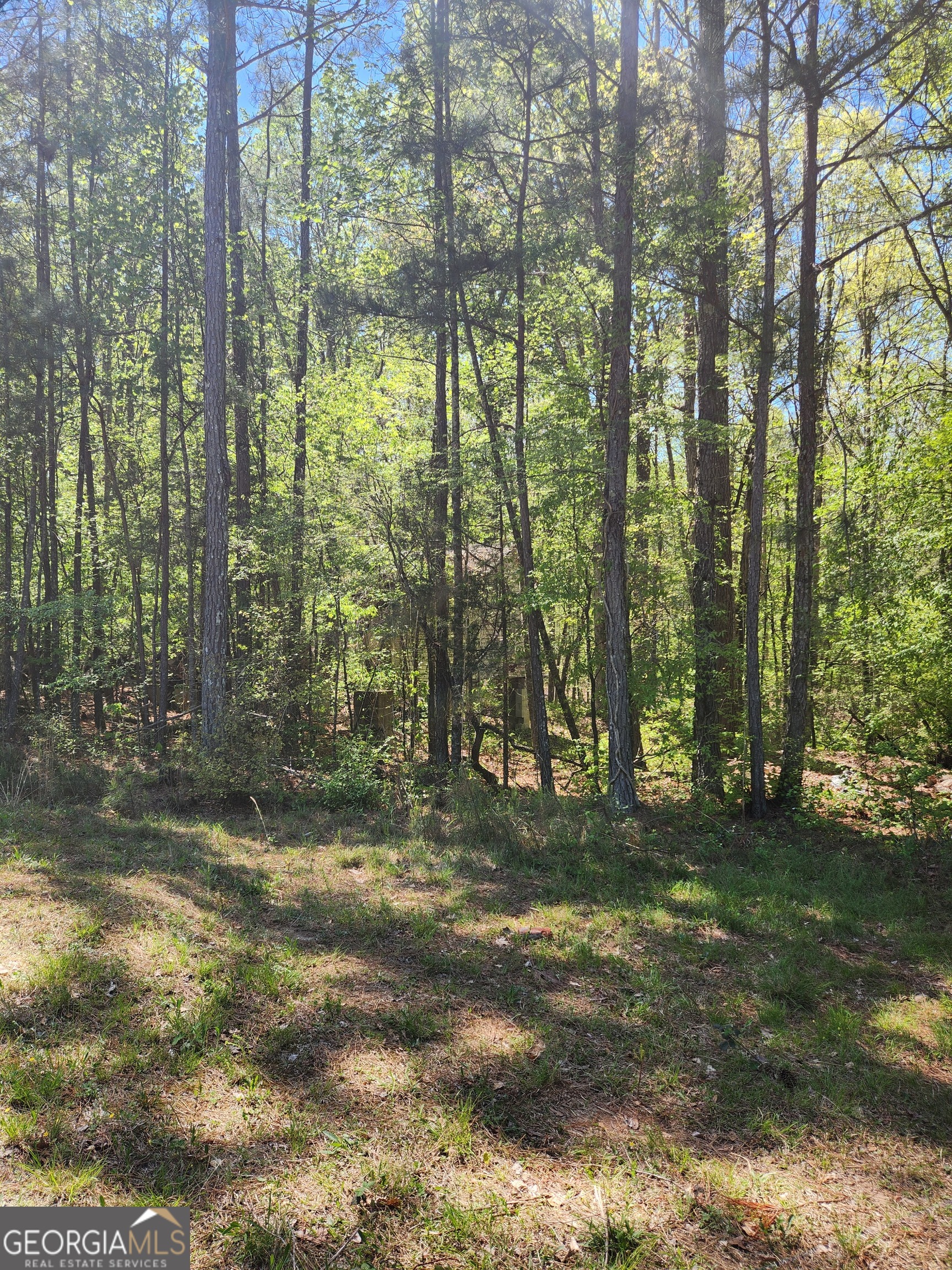 674 Lower River Road Property Photo 6
