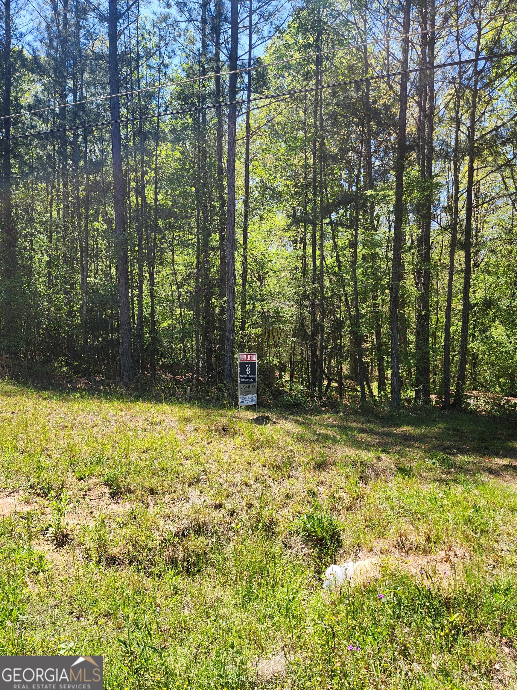 674 Lower River Road Property Photo 7