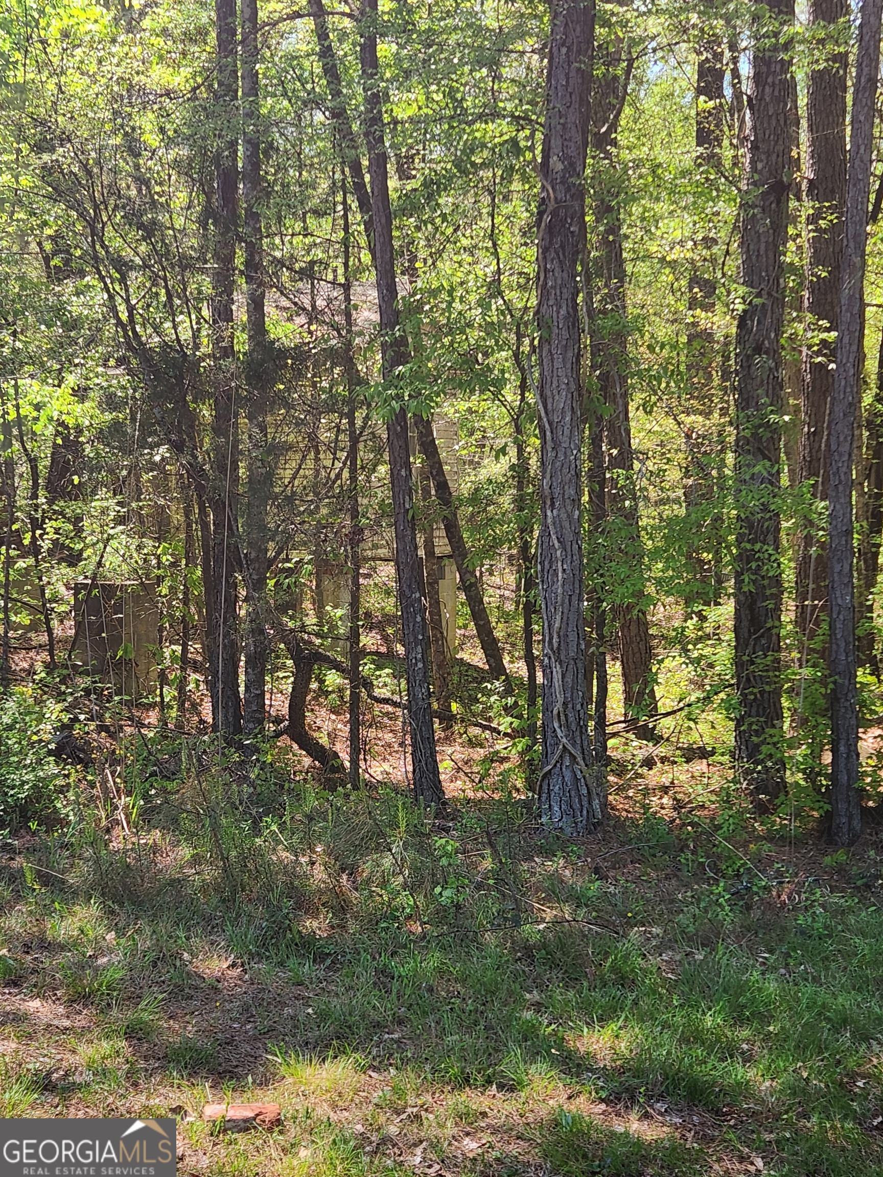 674 Lower River Road Property Photo 8