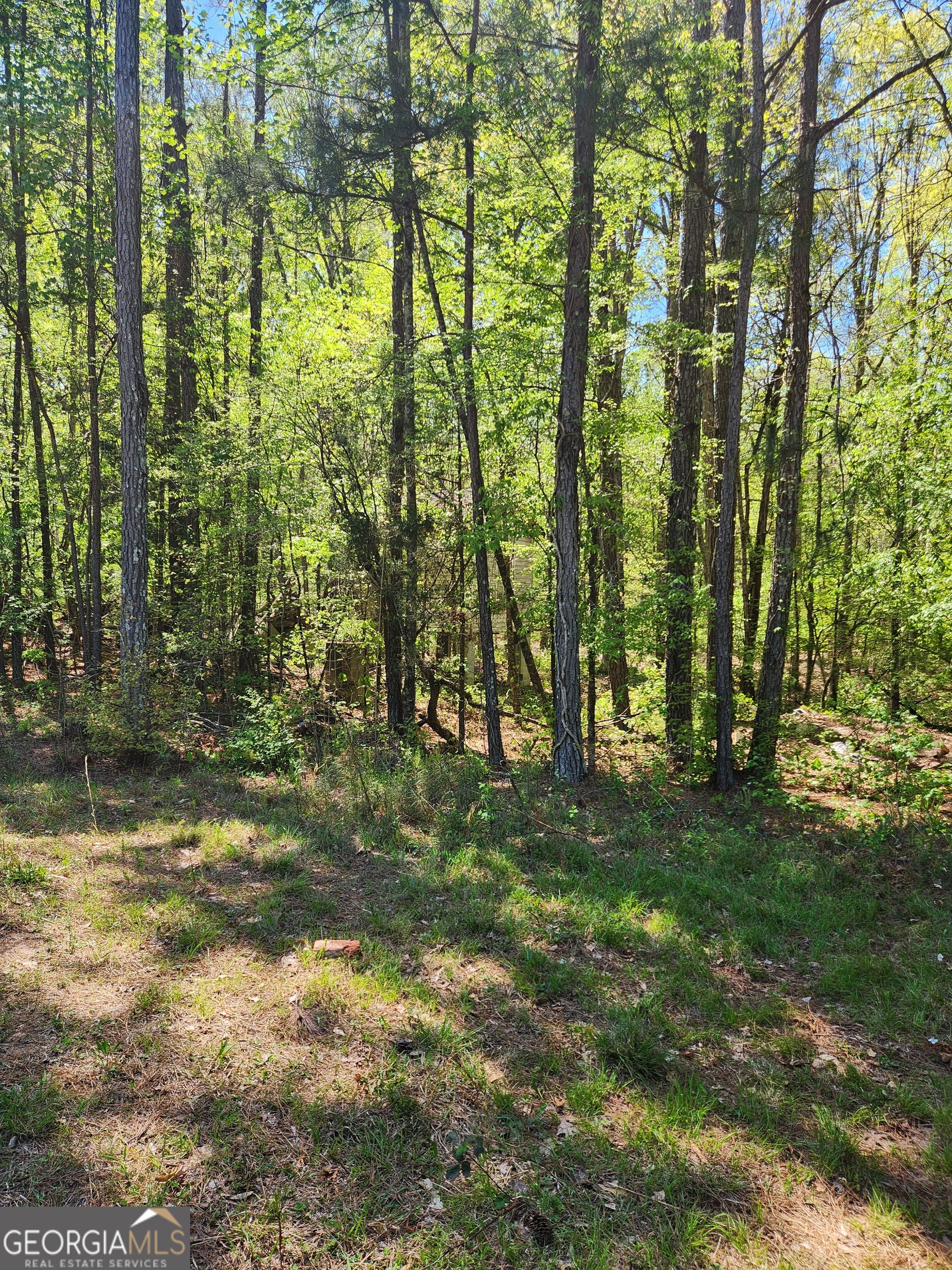674 Lower River Road Property Photo 9
