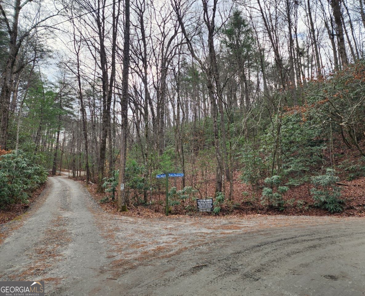 0 Miners Mountain Road Lot 6 Property Photo 4
