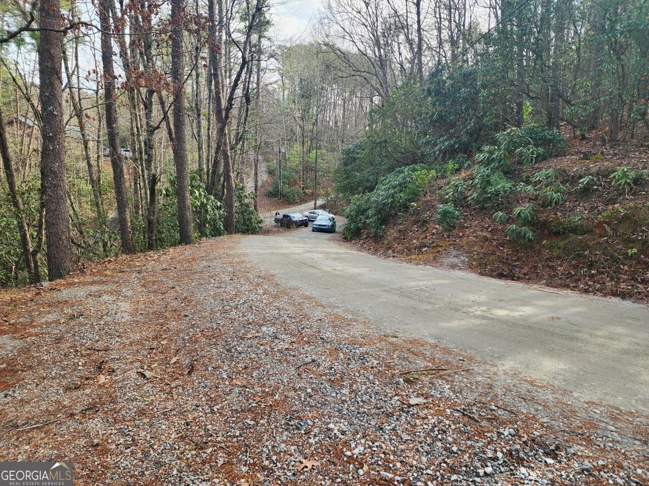 0 Miners Mountain Road Lot 6 Property Photo 5