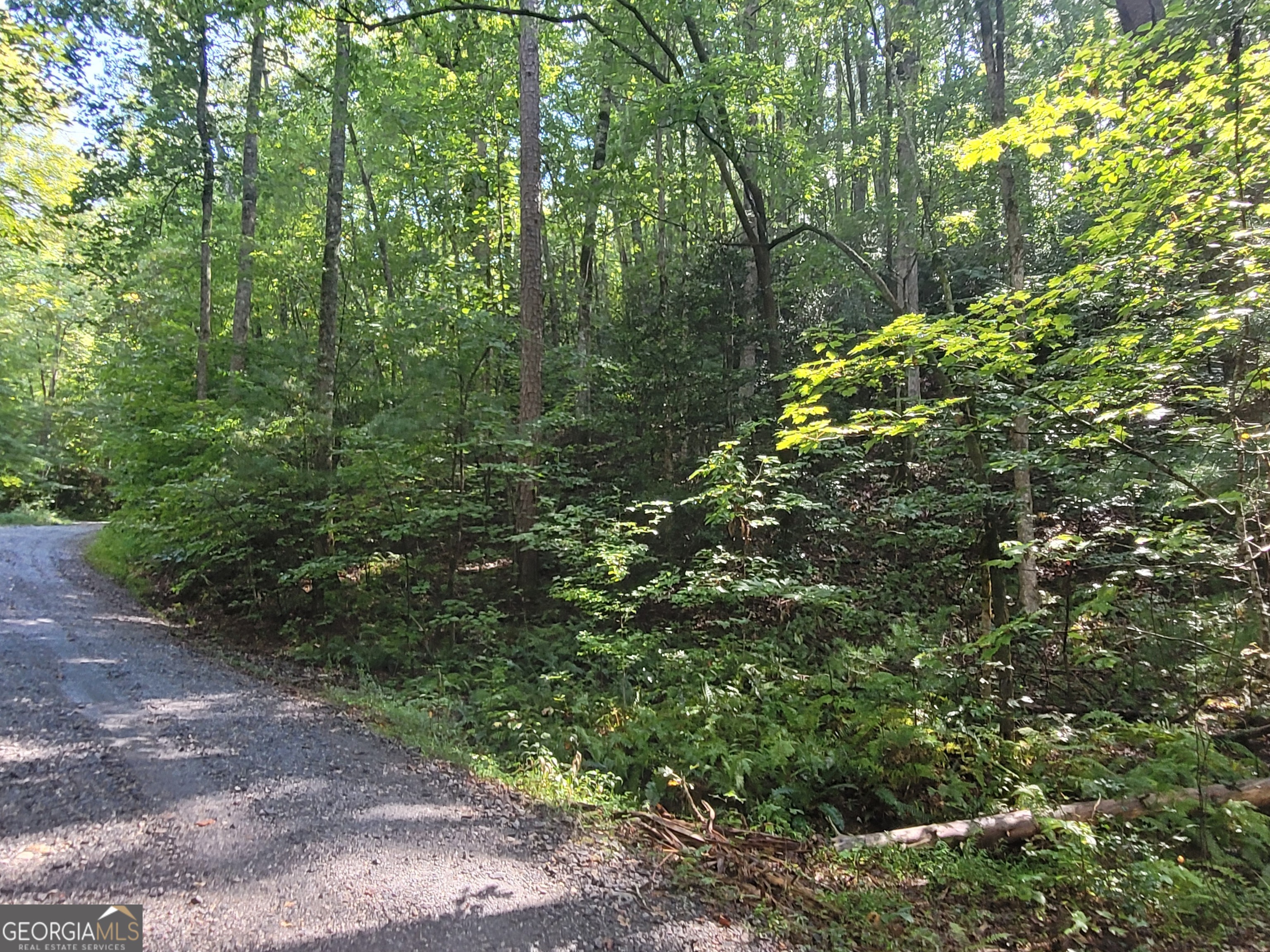 0 Miners Mountain Road Lot 6 Property Photo 6
