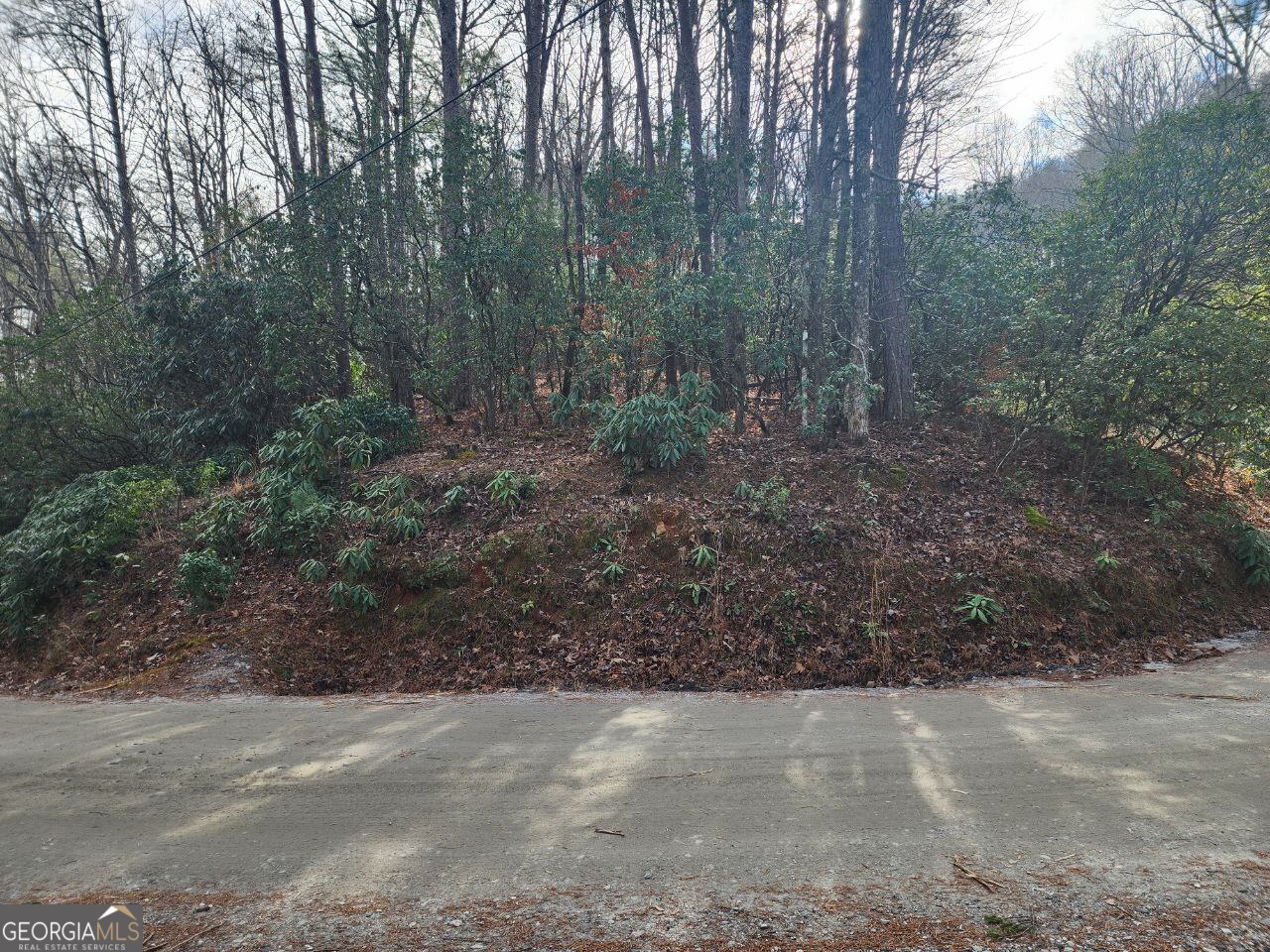 0 Miners Mountain Road Lot 6 Property Photo 8