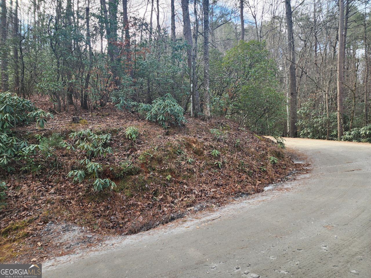 0 Miners Mountain Road Lot 6 Property Photo 9
