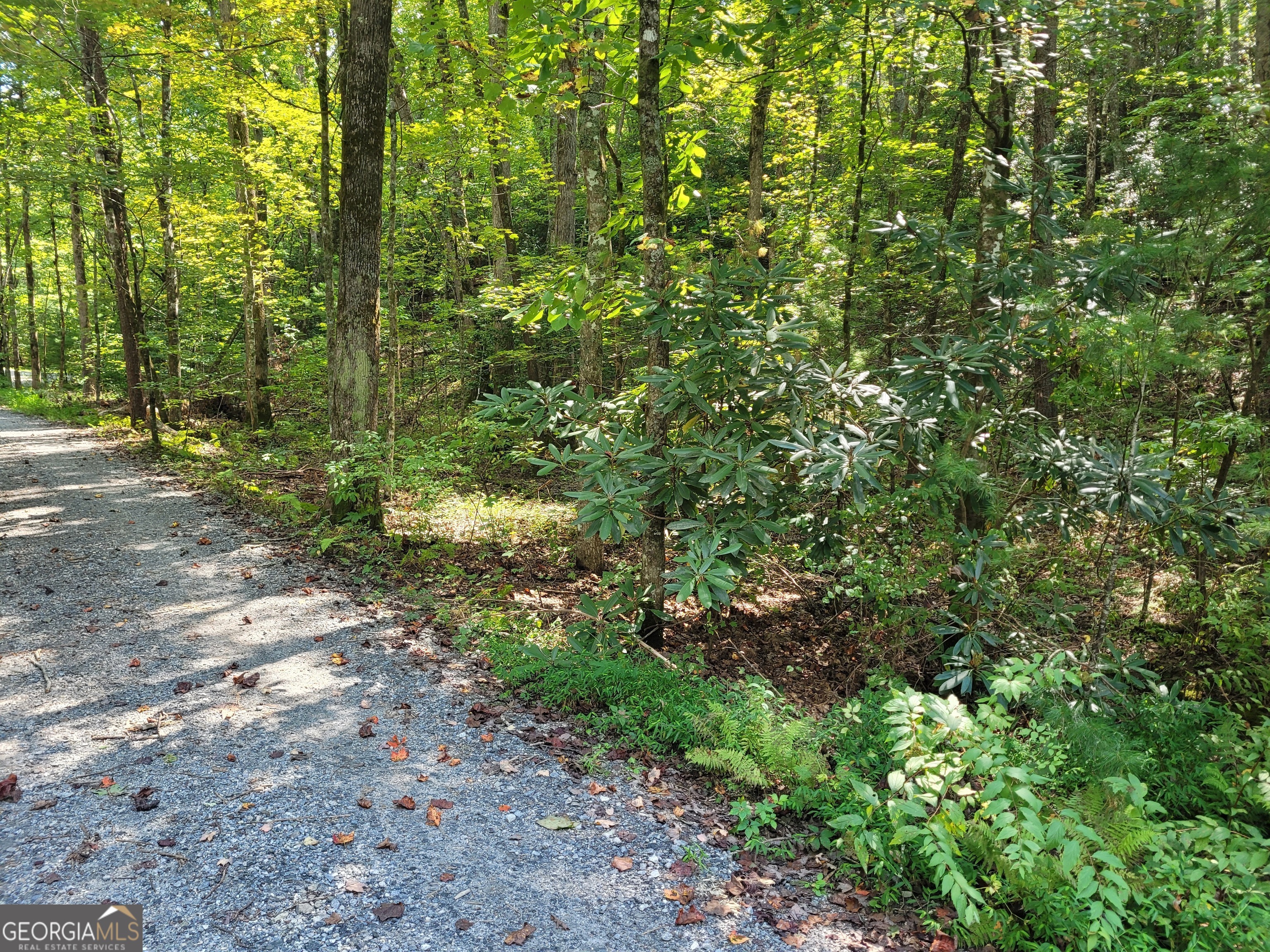 0 Miners Mountain Road Lot 6 Property Photo 11