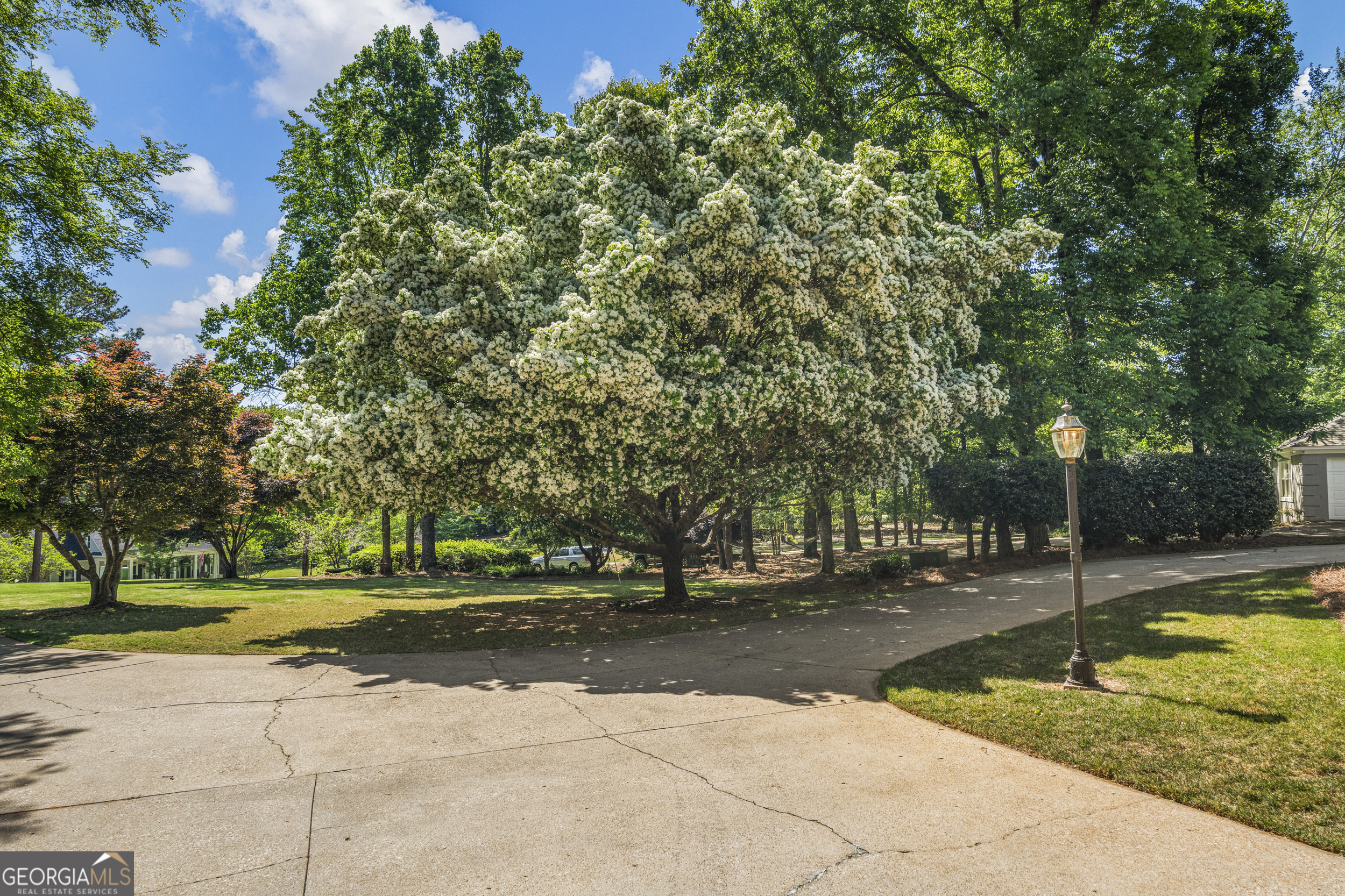 1017 Riverside Drive Property Photo 5