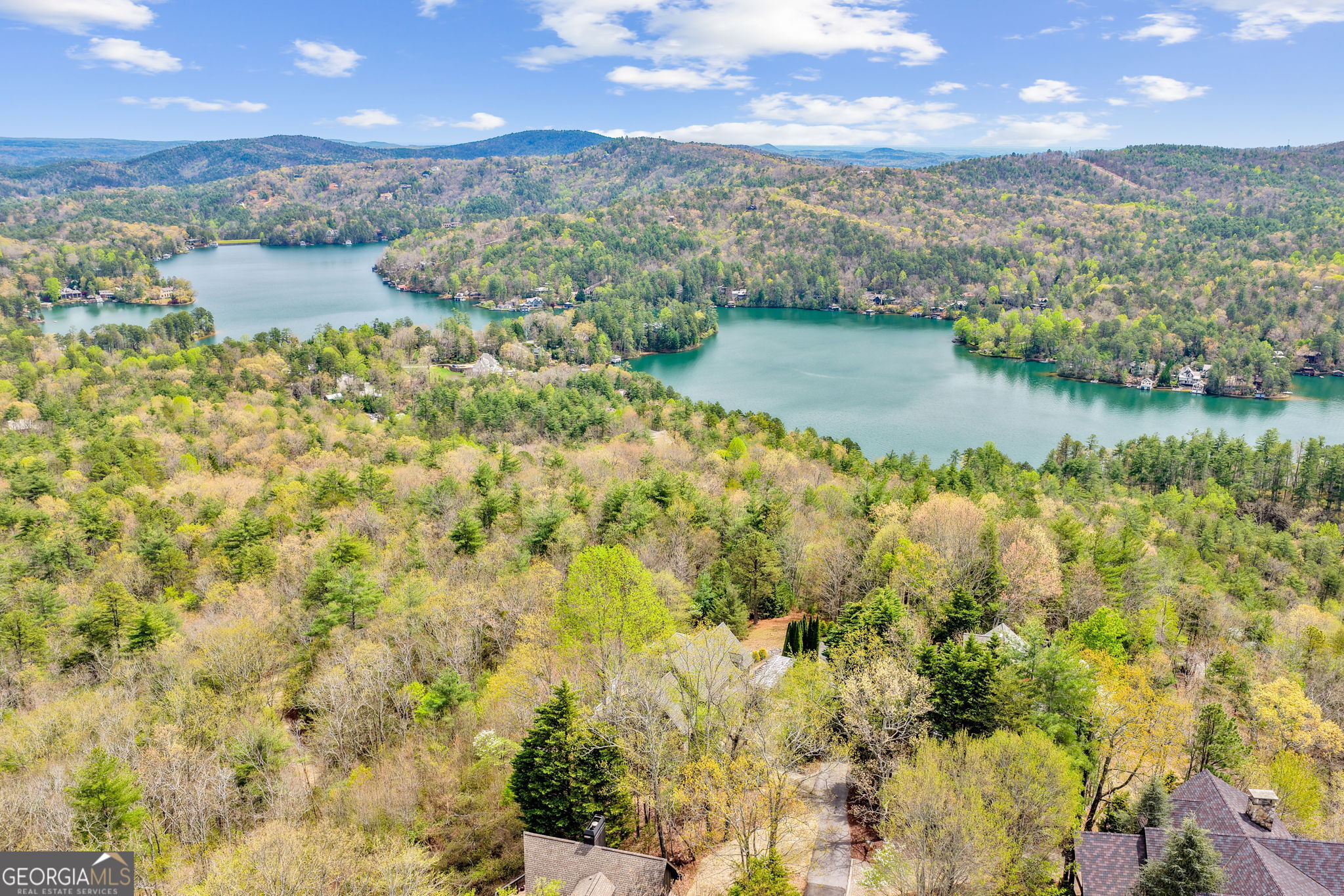 1171 Rabun Bluffs Drive Property Photo 74