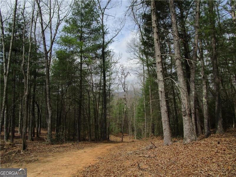 0 East New Hope Road Property Photo 1