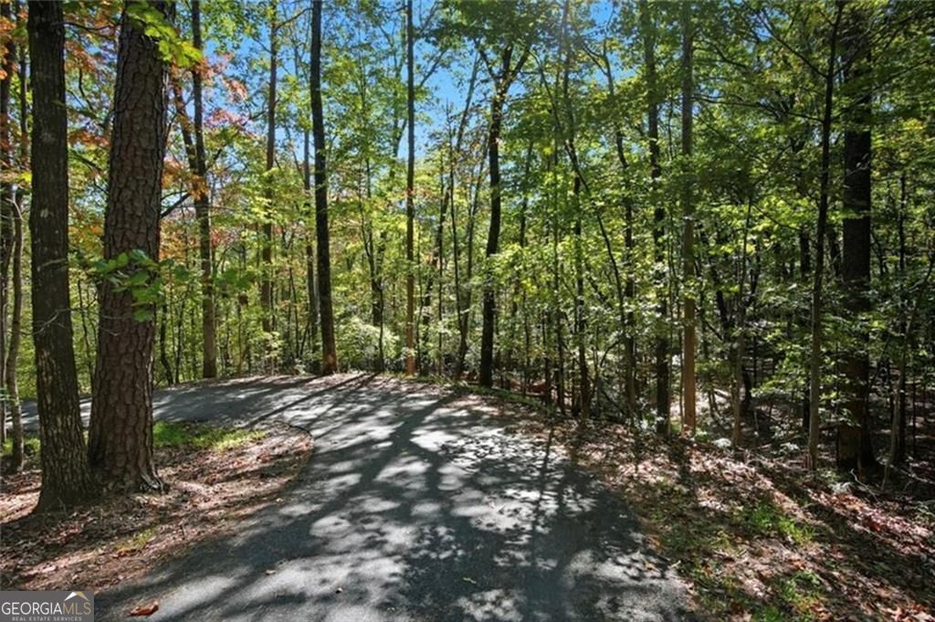 226 Wild Azalea Circle Property Photo 2