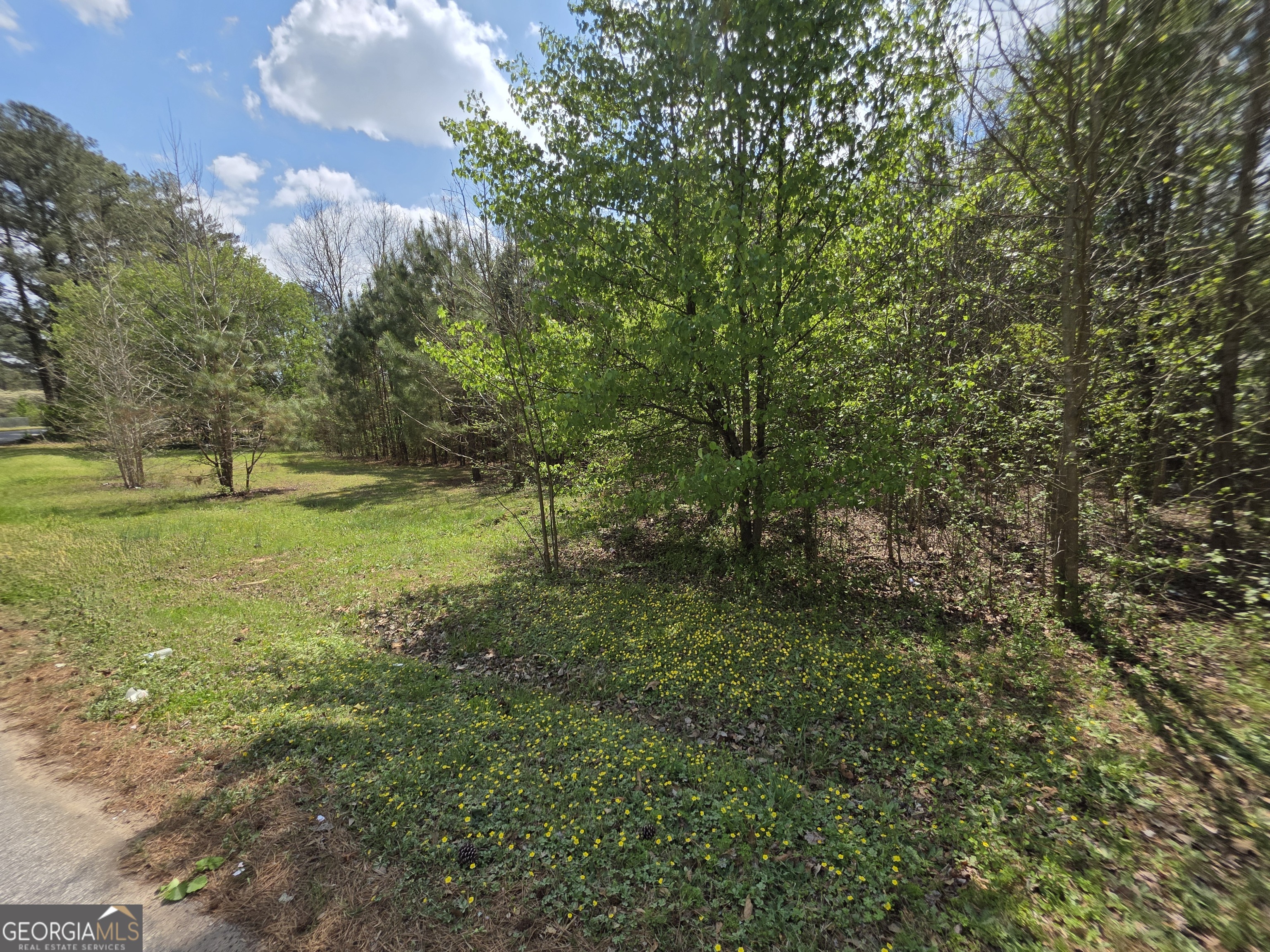 4563 Ruby Road Property Photo 1