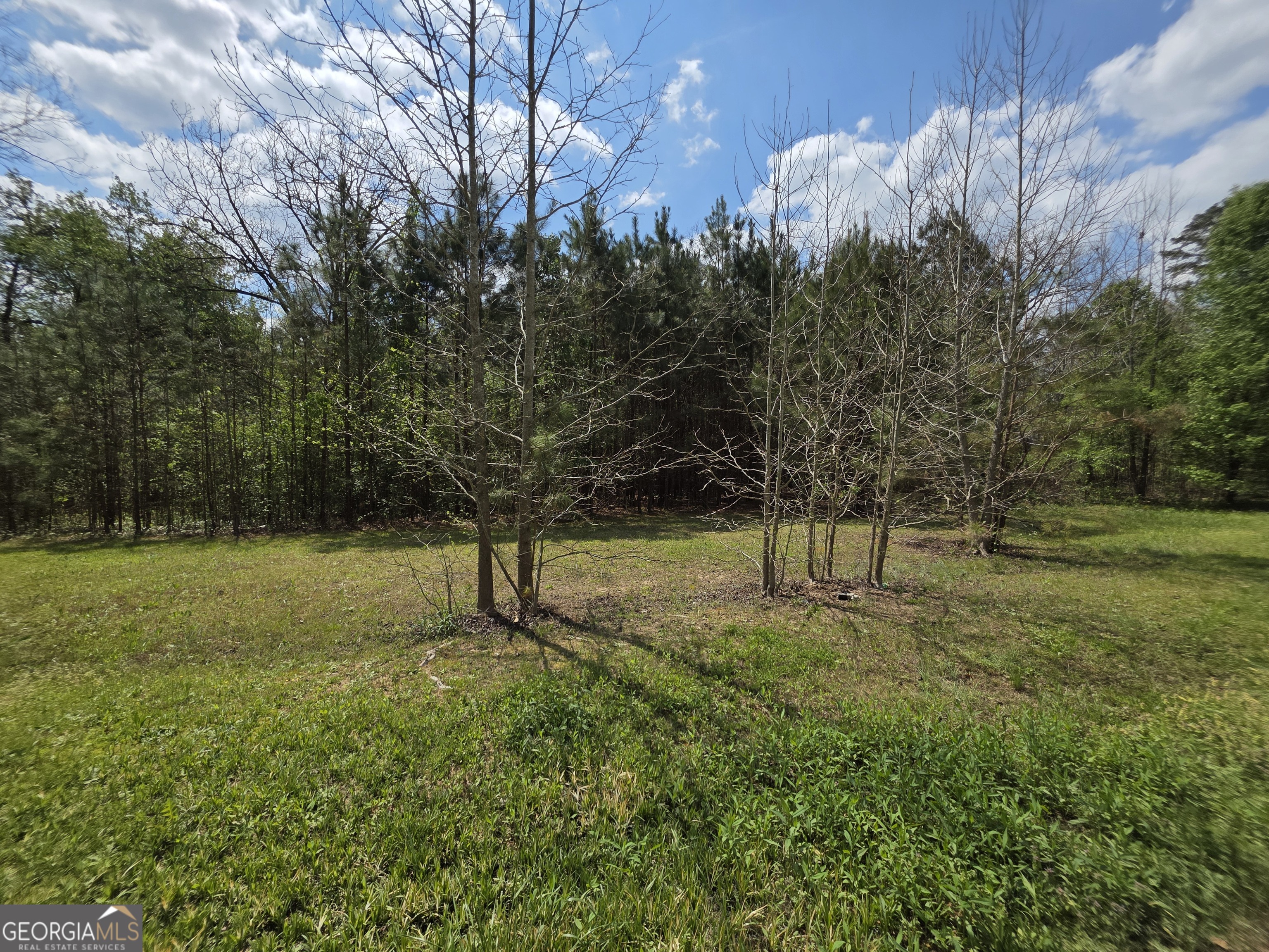 4563 Ruby Road Property Photo 6