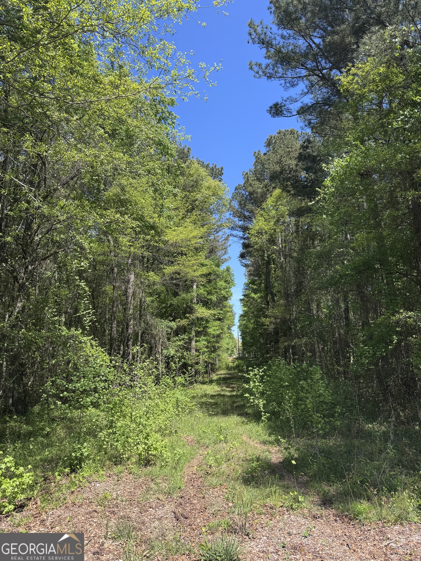 0 Roquemore Road Lot 3 Property Photo 2