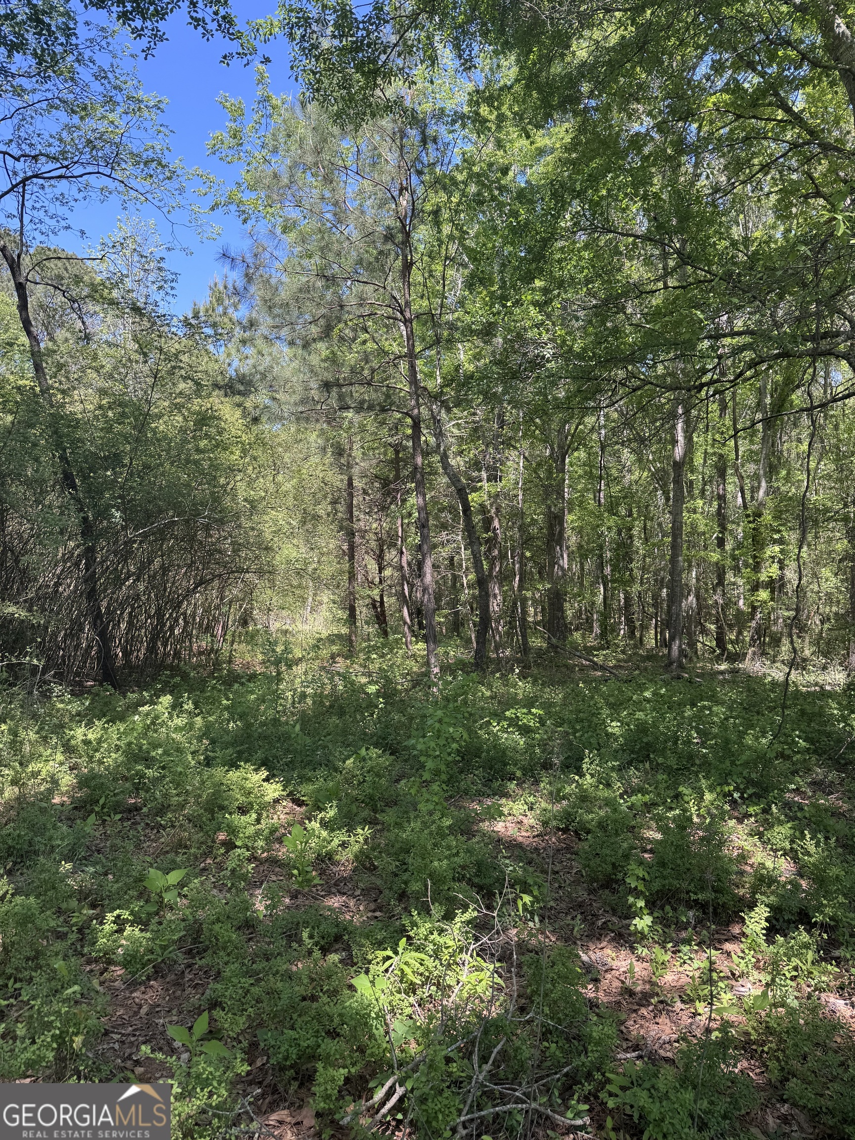 0 Roquemore Road Lot 3 Property Photo 4