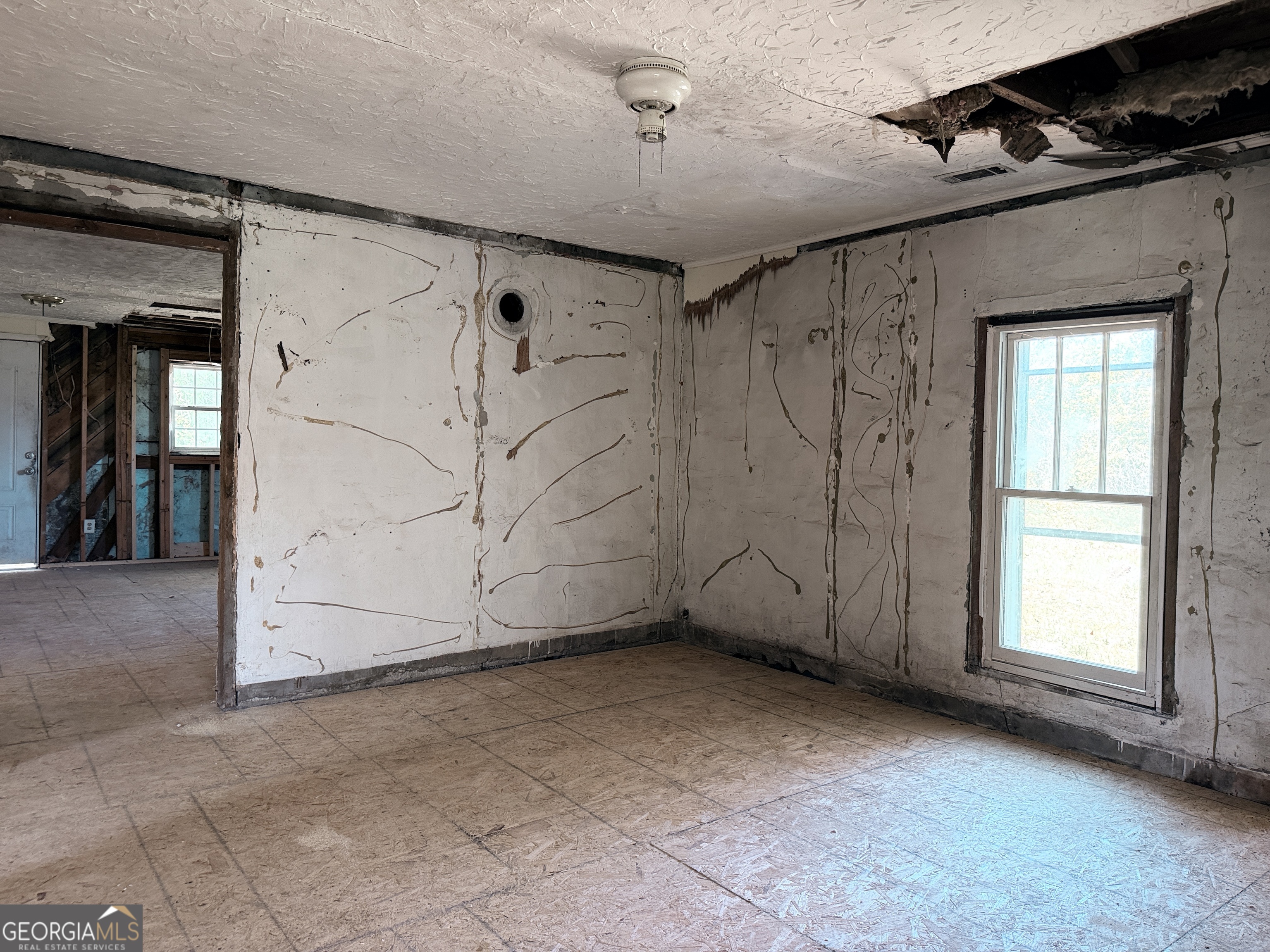 13238 Highway 193 Property Photo 4