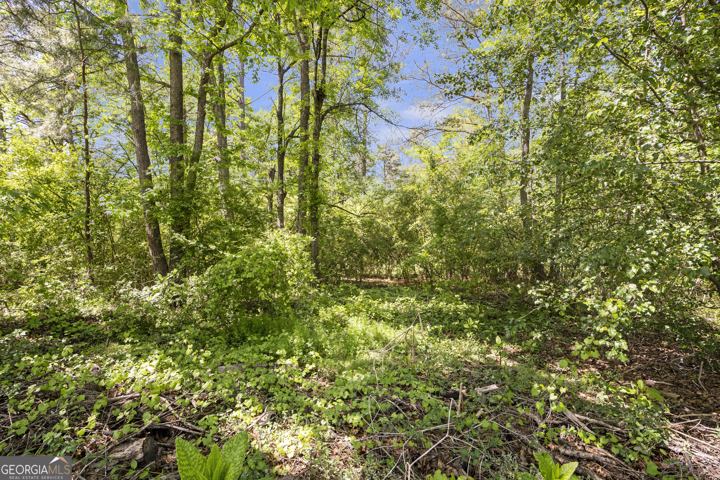 603 Webb Gin House Road Property Photo 11
