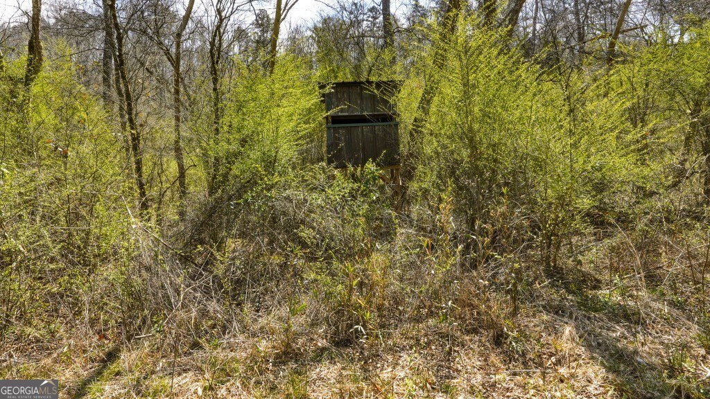 0 Hubbardsville Circle Property Photo 24