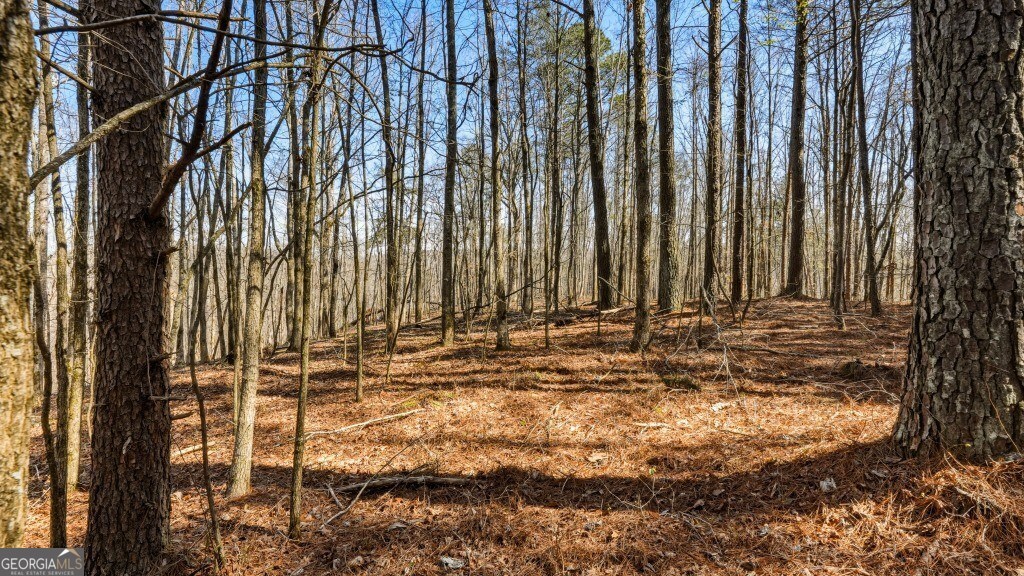 0 Hubbardsville Circle Property Photo 27