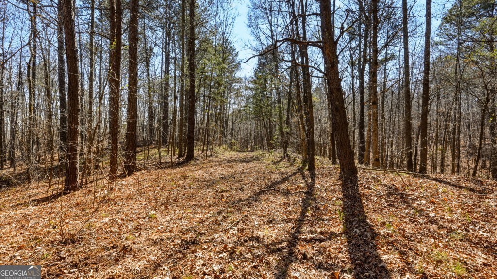 0 Hubbardsville Circle Property Photo 28
