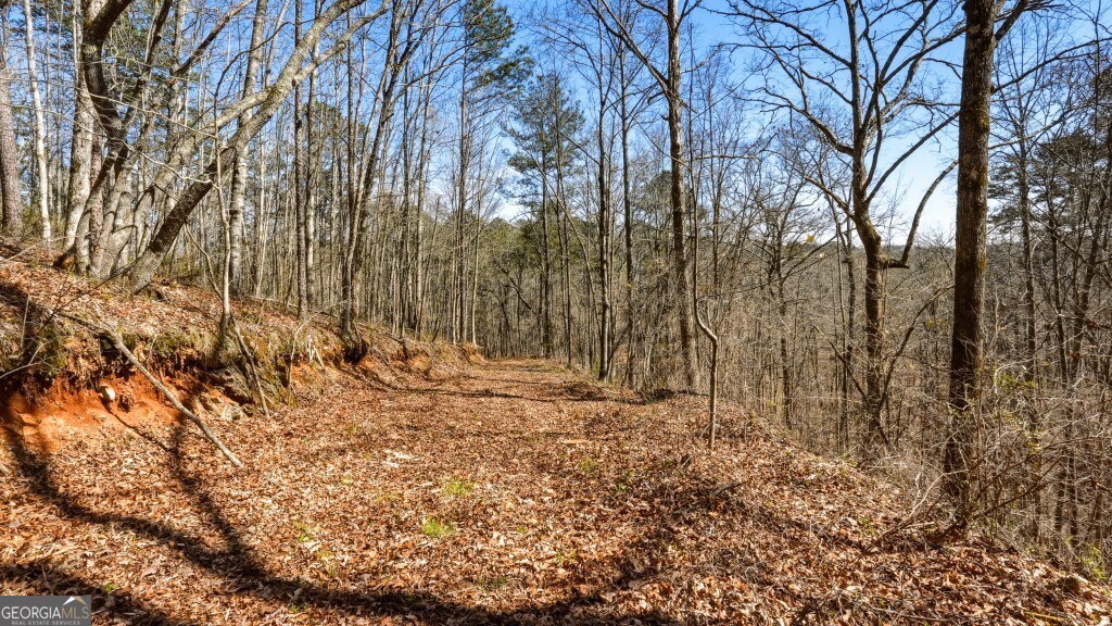 0 Hubbardsville Circle Property Photo 29