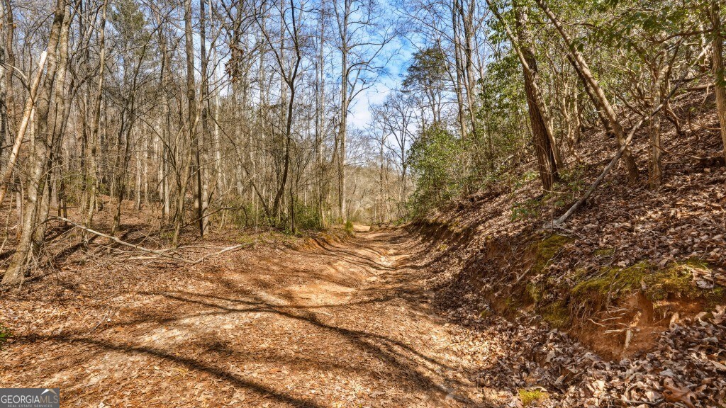 0 Hubbardsville Circle Property Photo 32
