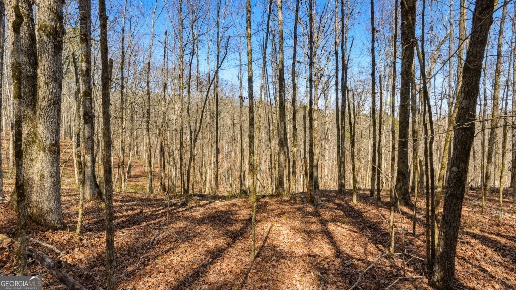 0 Hubbardsville Circle Property Photo 34