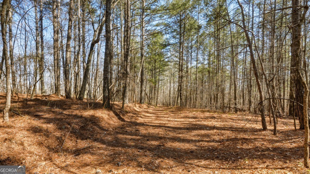 0 Hubbardsville Circle Property Photo 35