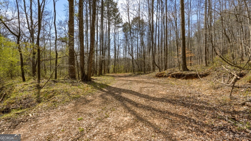 0 Hubbardsville Circle Property Photo 37