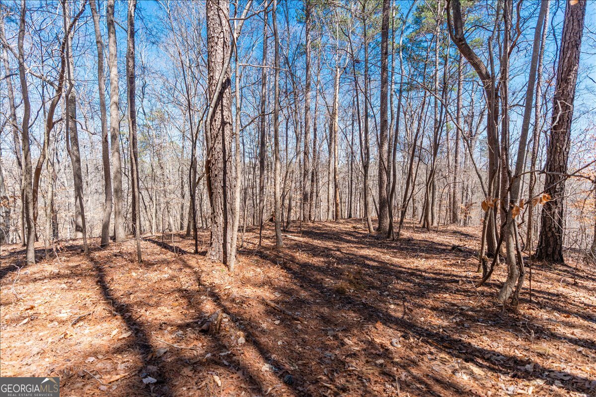 0 Snote Jones Road Property Photo 19