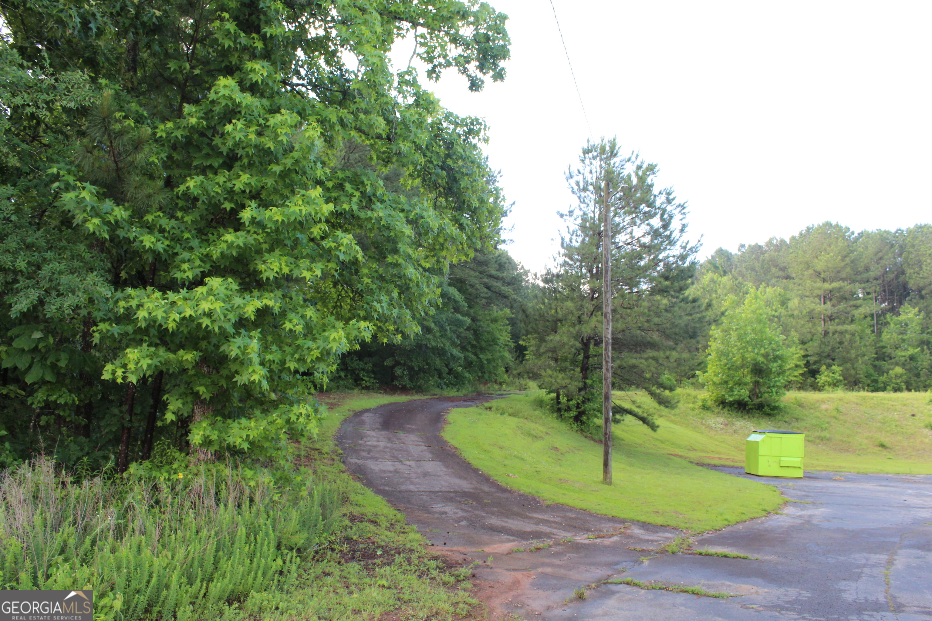 1207 Mcdonough Road Property Photo 41