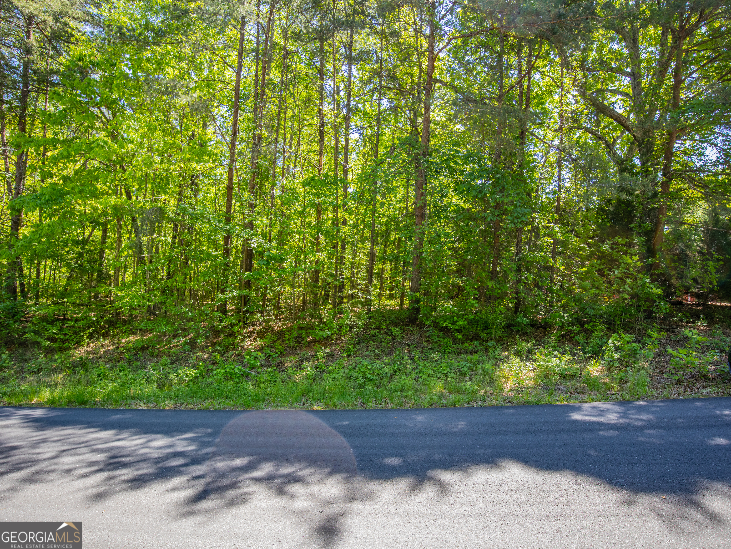 1.01 Acre Oak Drive Property Photo 12