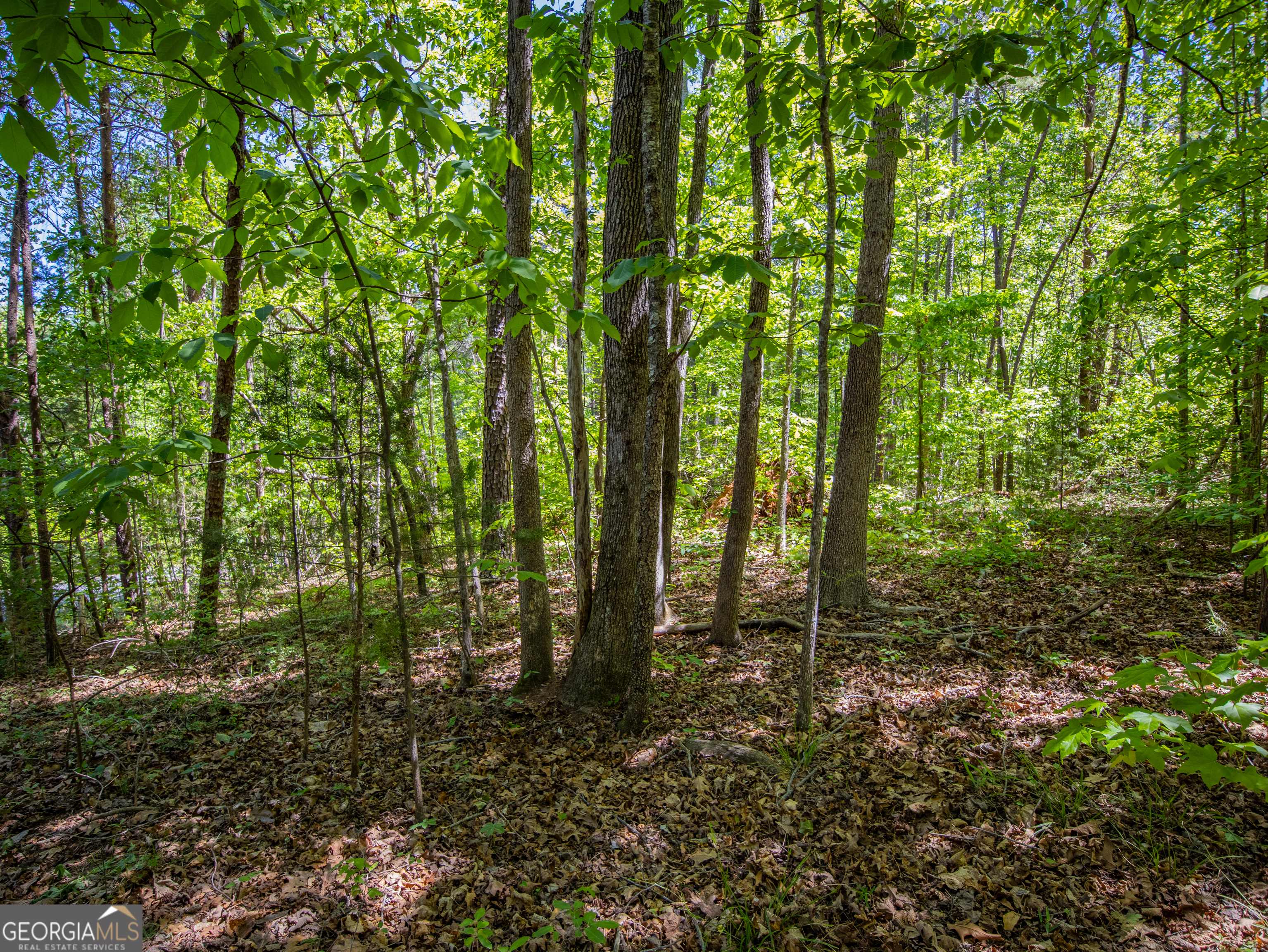 1.01 Acre Oak Drive Property Photo 13